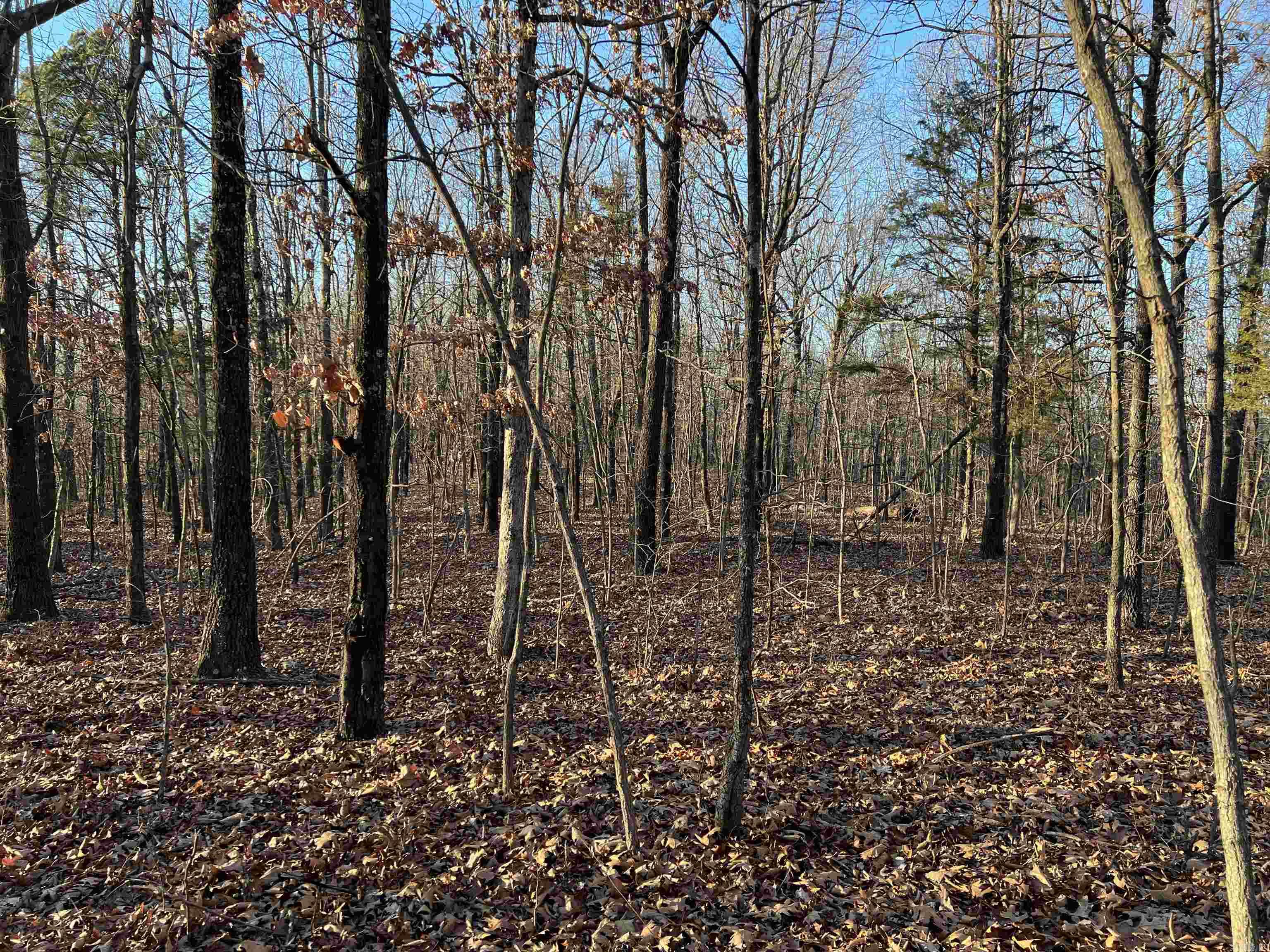  Prayer Mountain  Harrison, AR