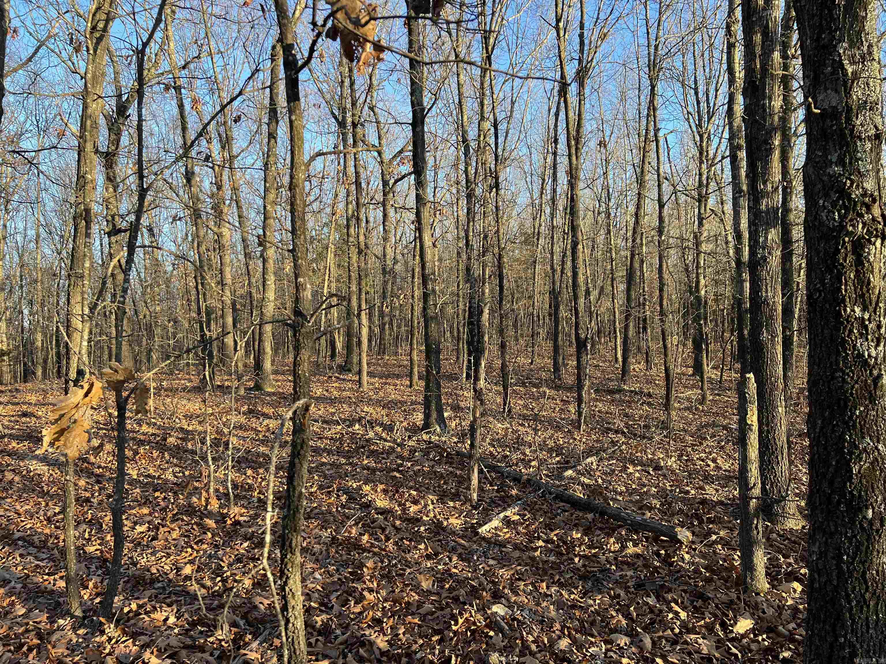  Prayer Mountain  Harrison, AR