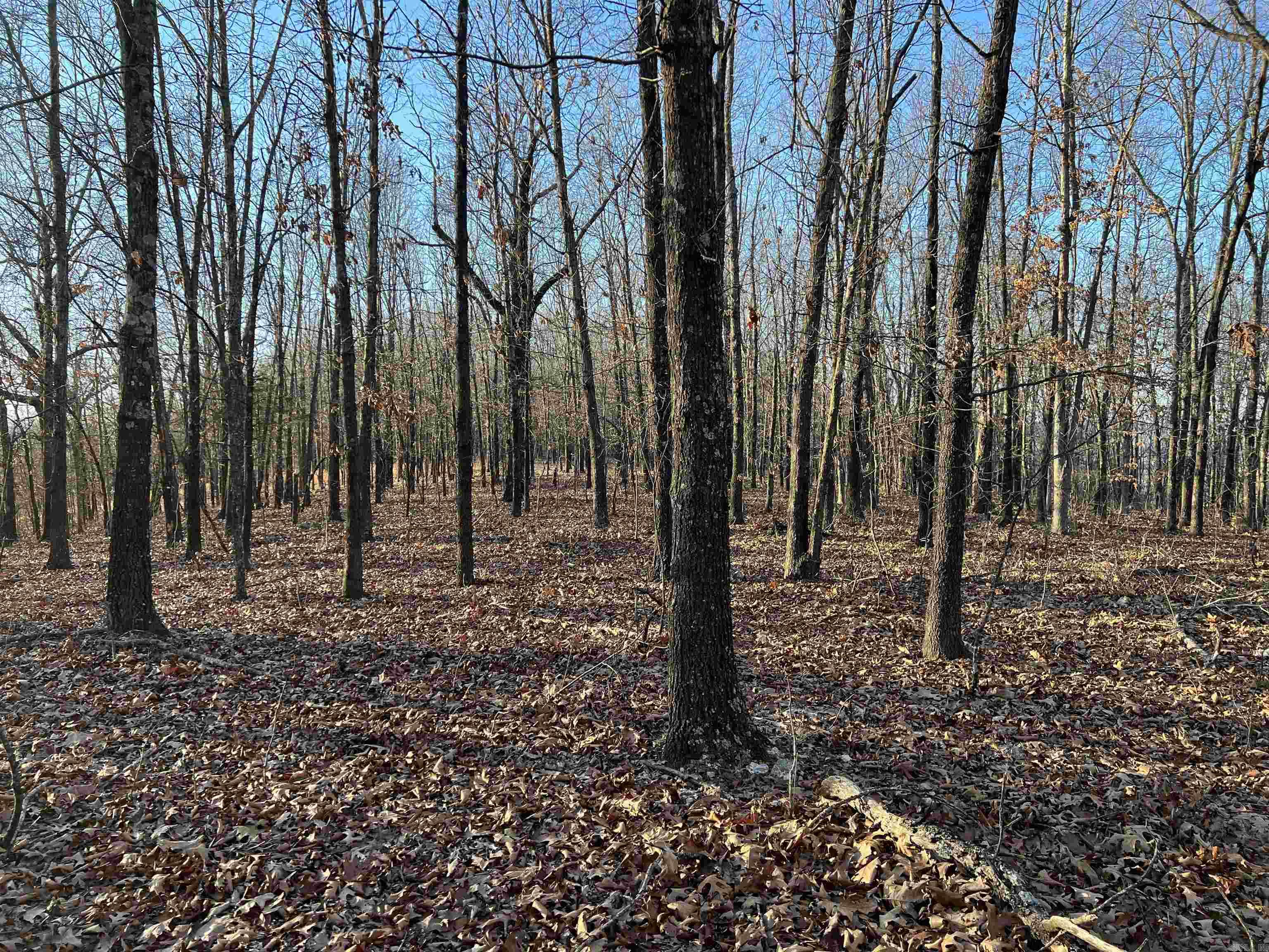  Prayer Mountain  Harrison, AR