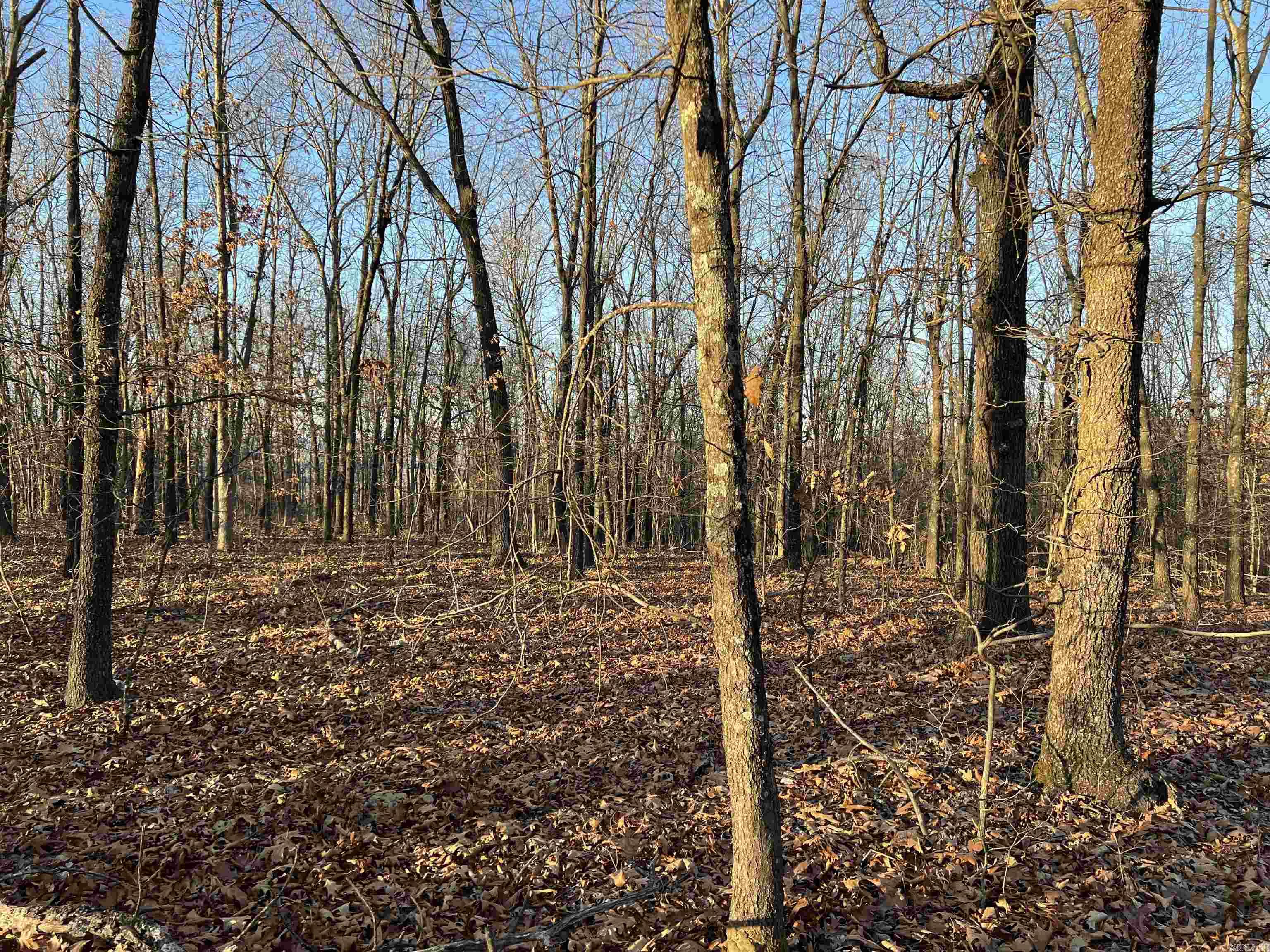  Prayer Mountain  Harrison, AR