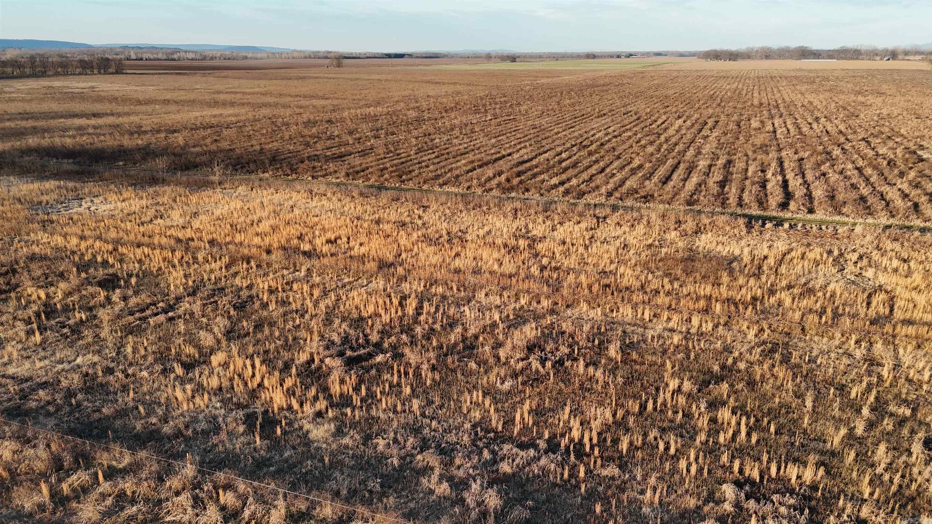 000 Carden Bottoms Rd  Dardanelle, AR