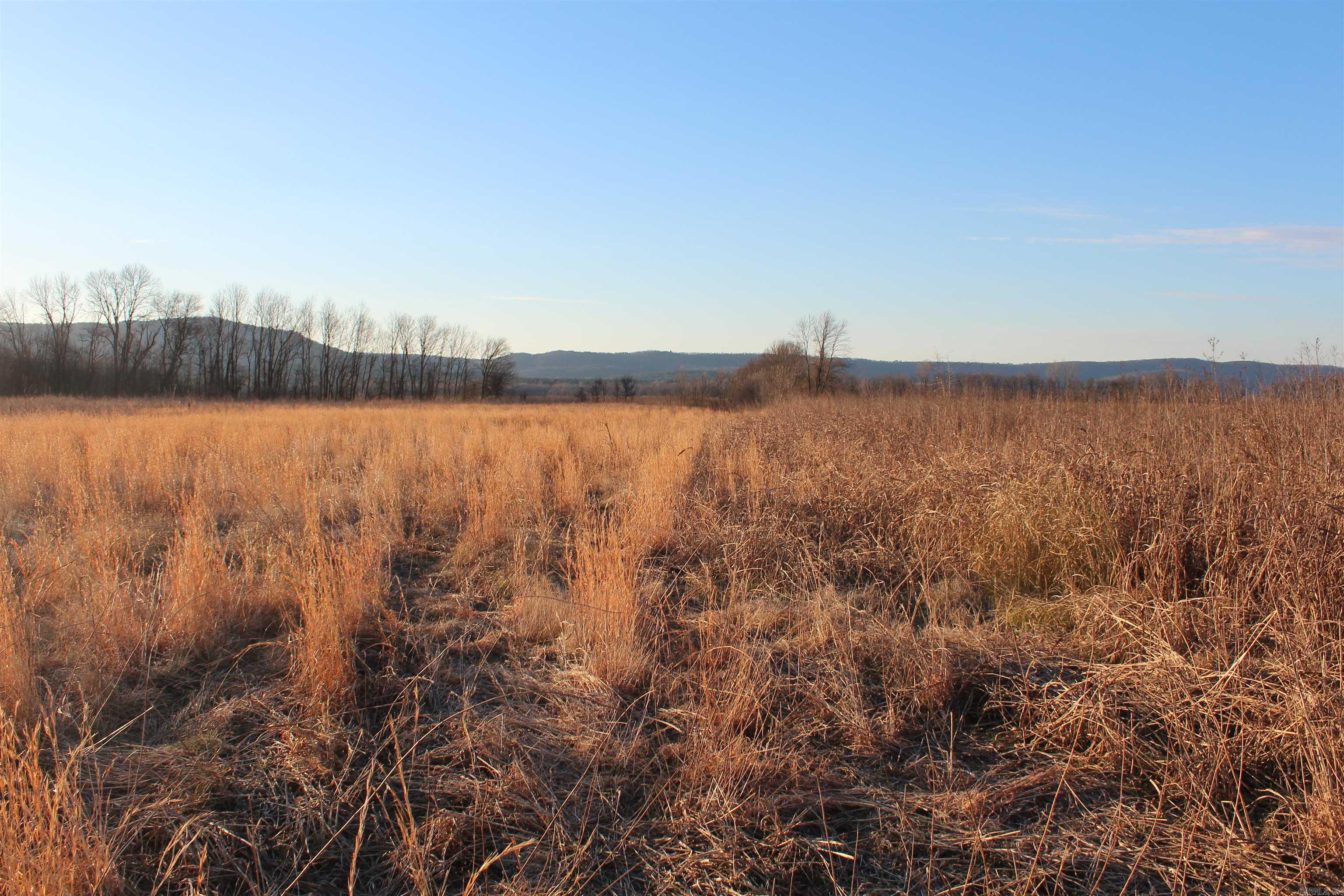 000 Carden Bottoms Rd  Dardanelle, AR