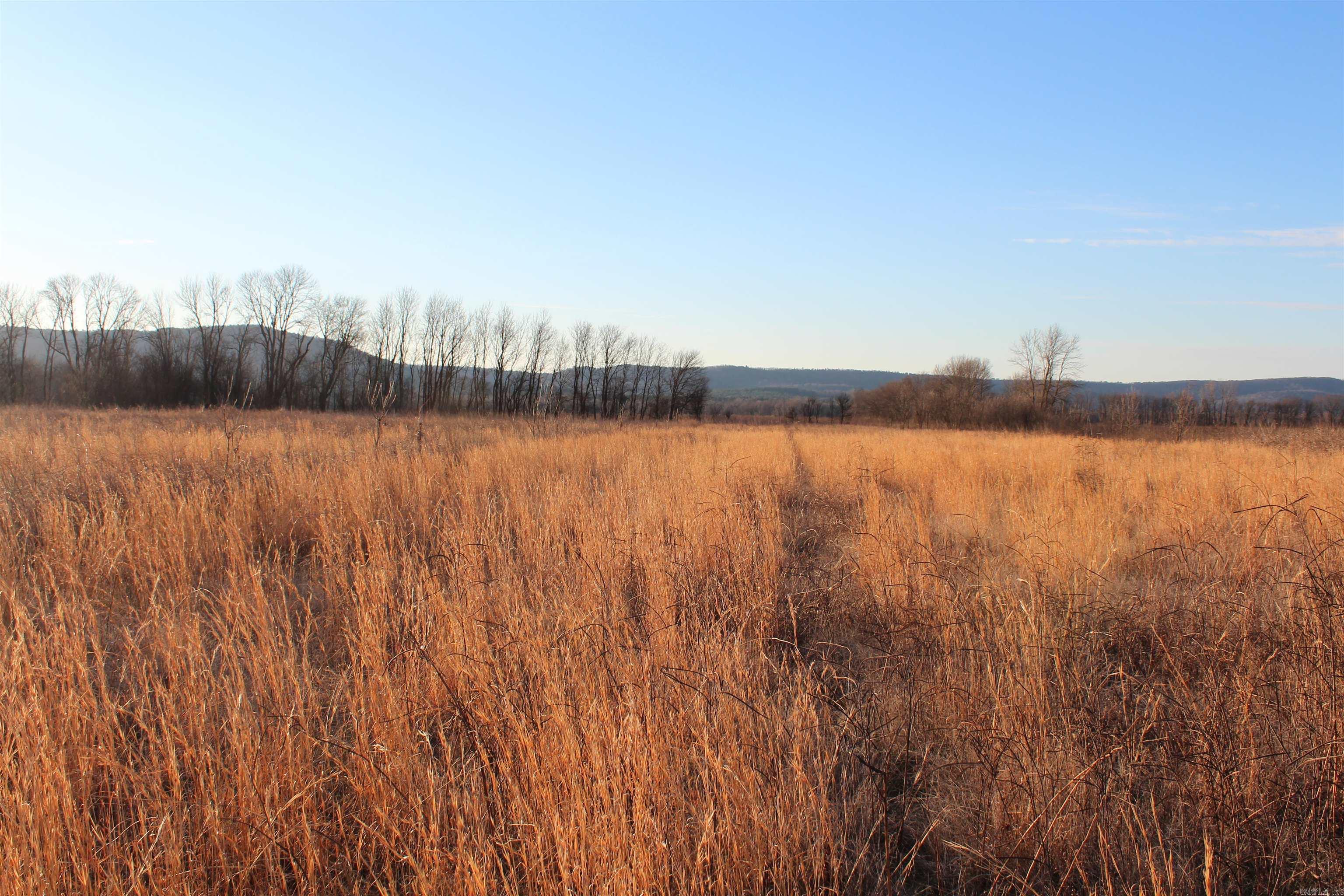 000 Carden Bottoms Rd  Dardanelle, AR