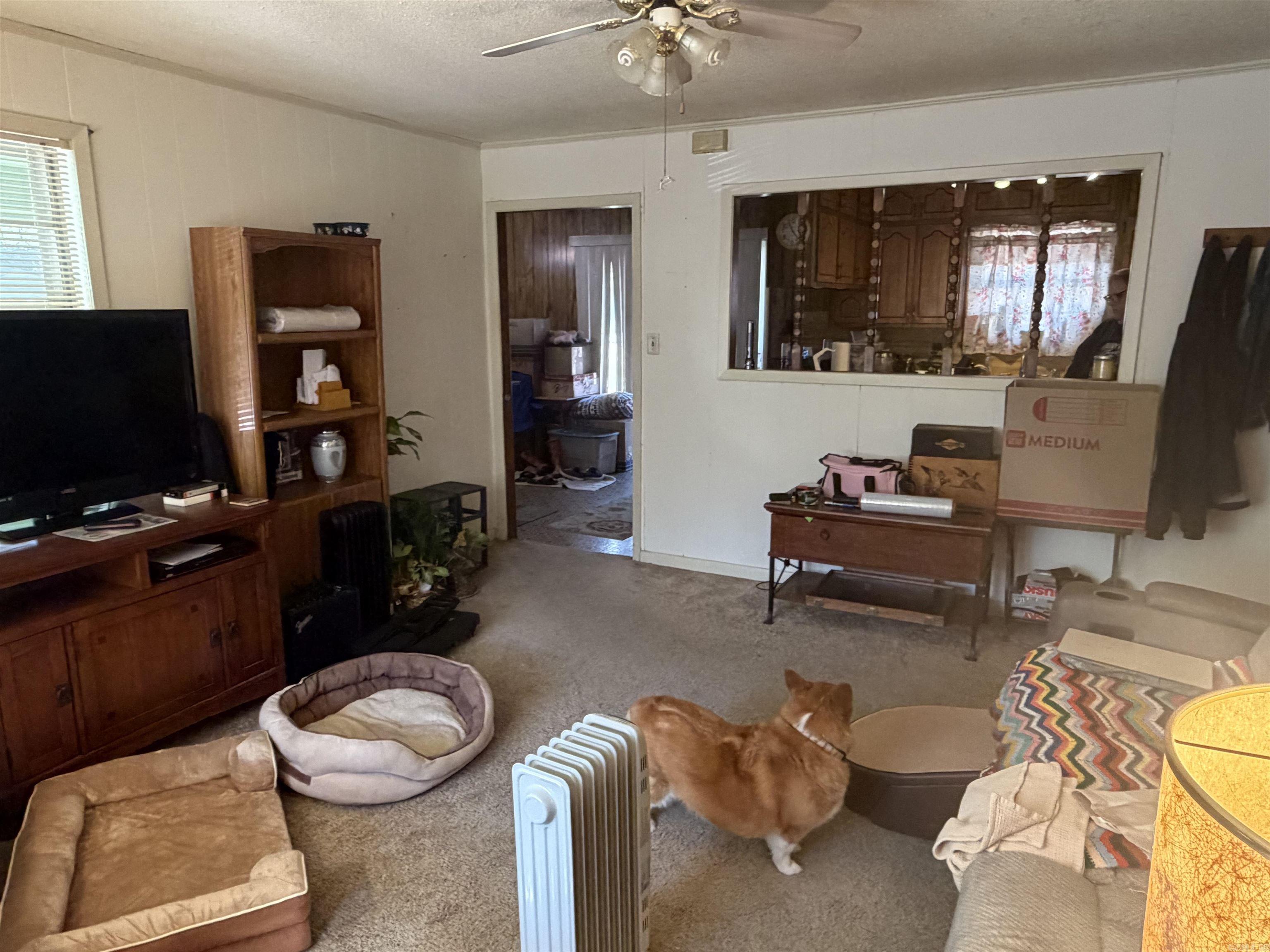 188 W Side  Judsonia, AR