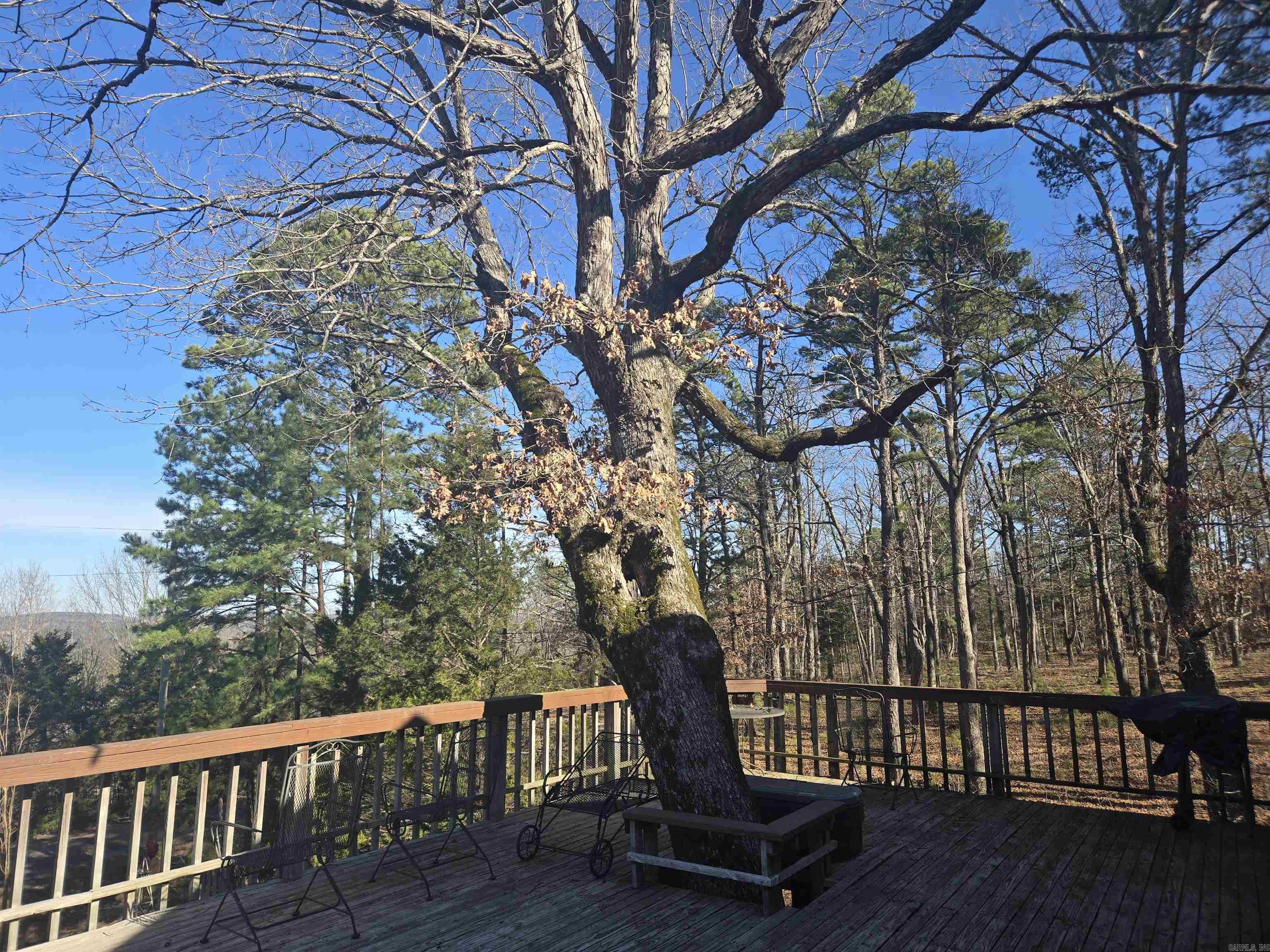 175 Melgie Ridge Rd Drasco, AR 72530