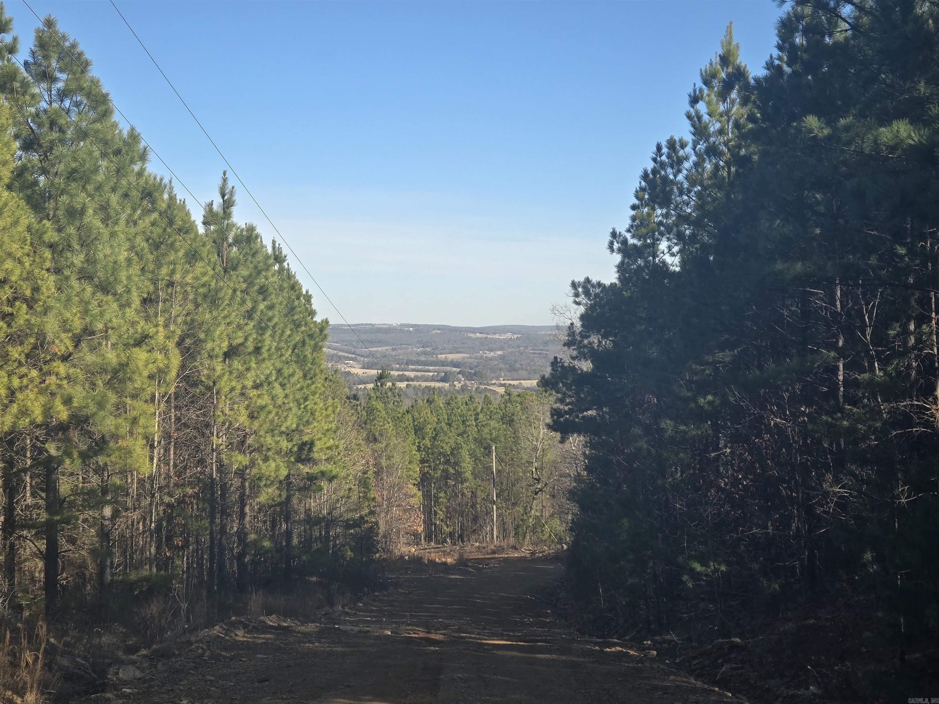 175 Melgie Ridge Rd Drasco, AR 72530