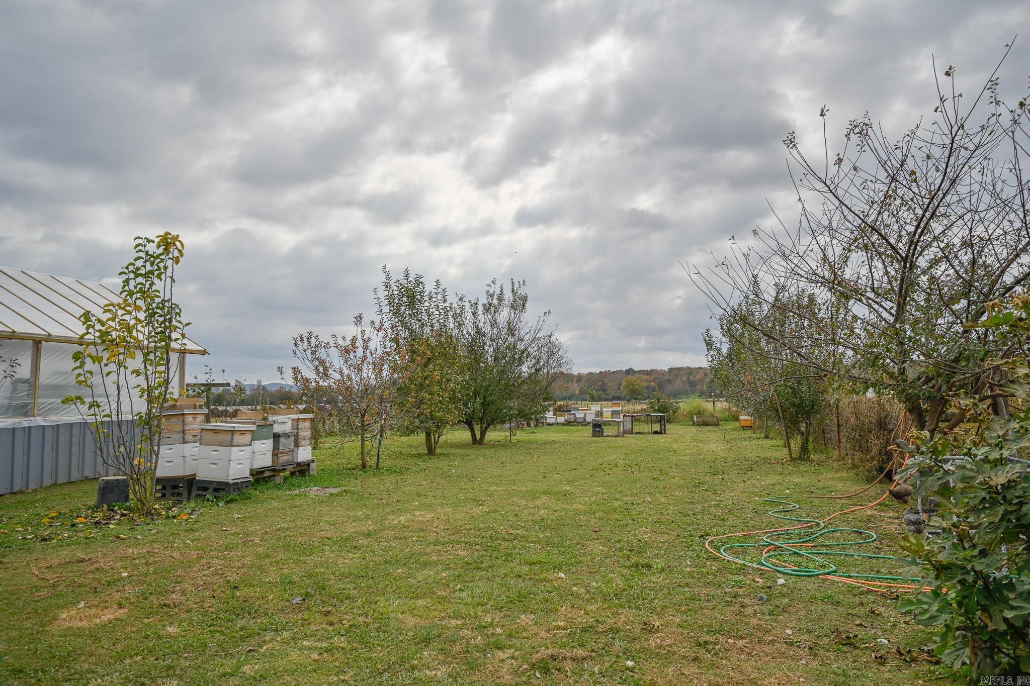 4796 Hwy 88 E  Mena, AR