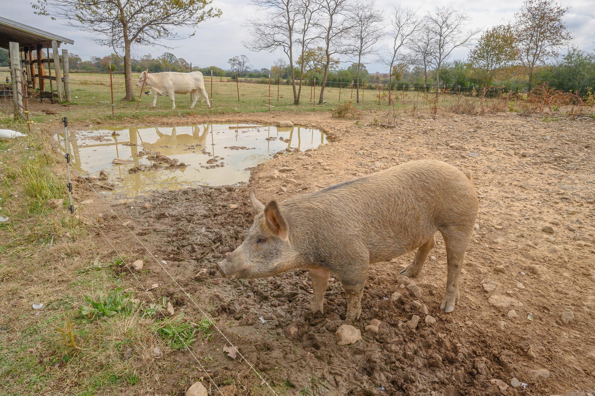 4796 Hwy 88 E  Mena, AR