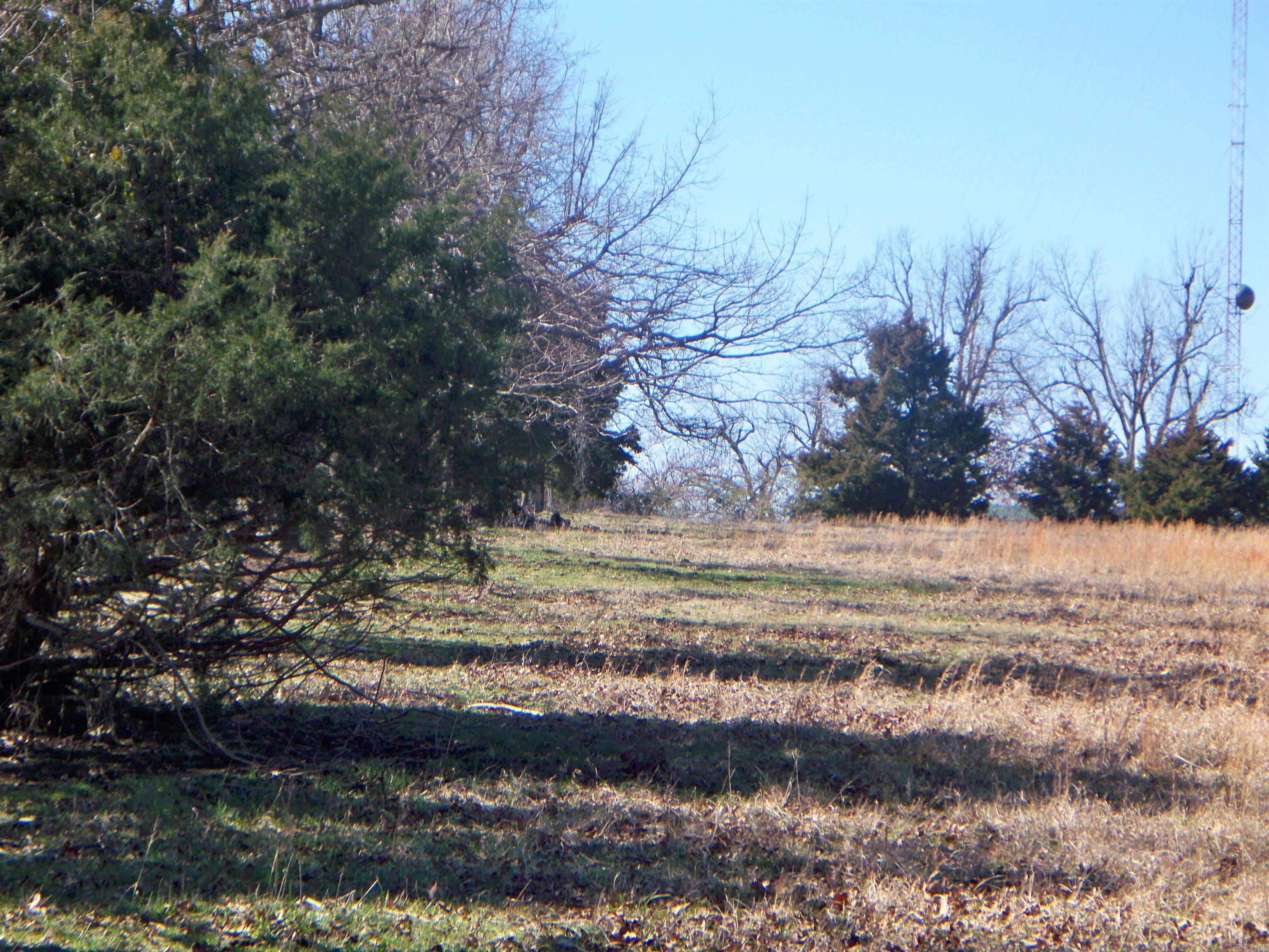 00 Jackson 311  Bradford, AR