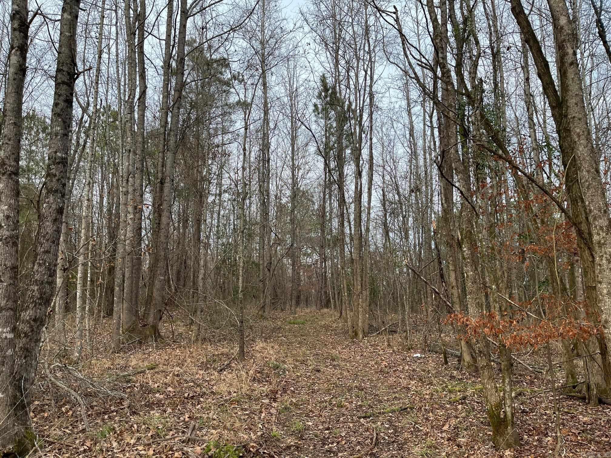 0 N Brice Horton  Delight, AR