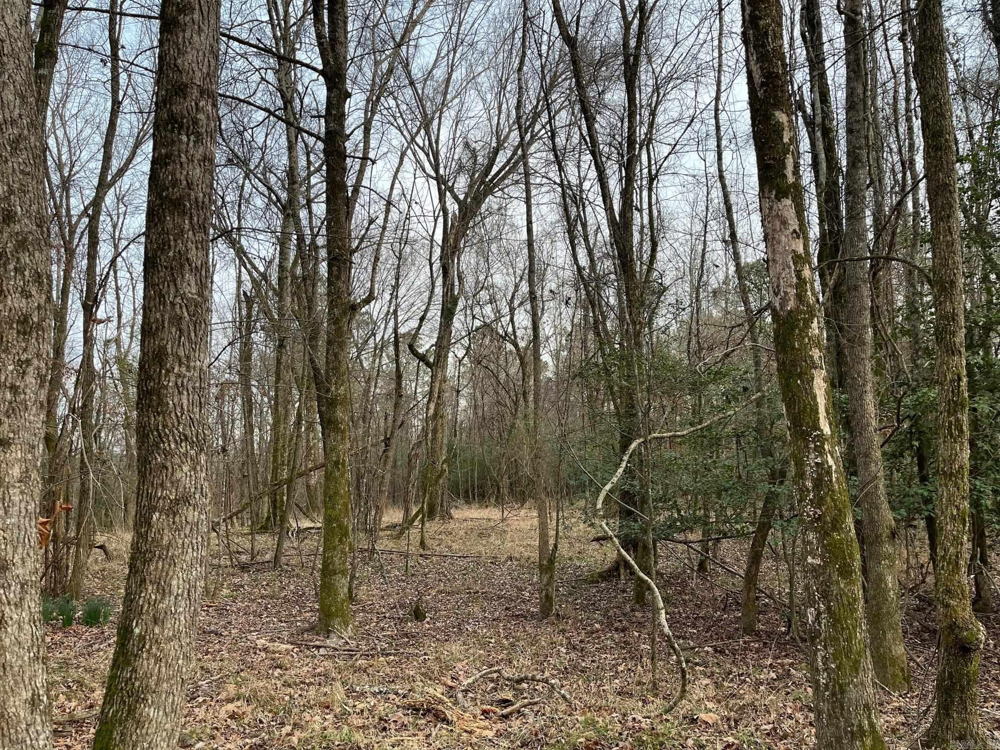 0 N Brice Horton  Delight, AR