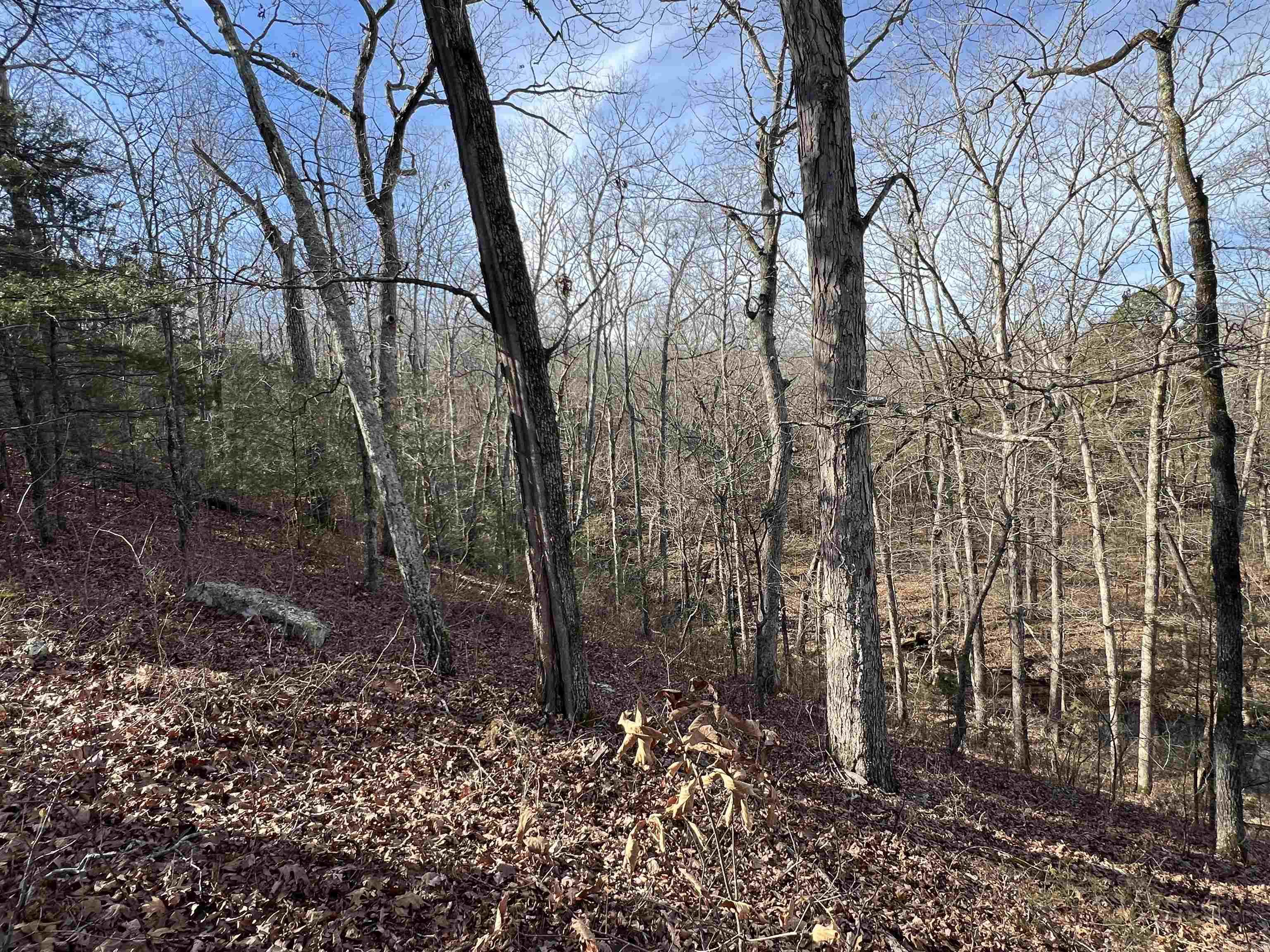 000 Shiloh Rd  McRae, AR