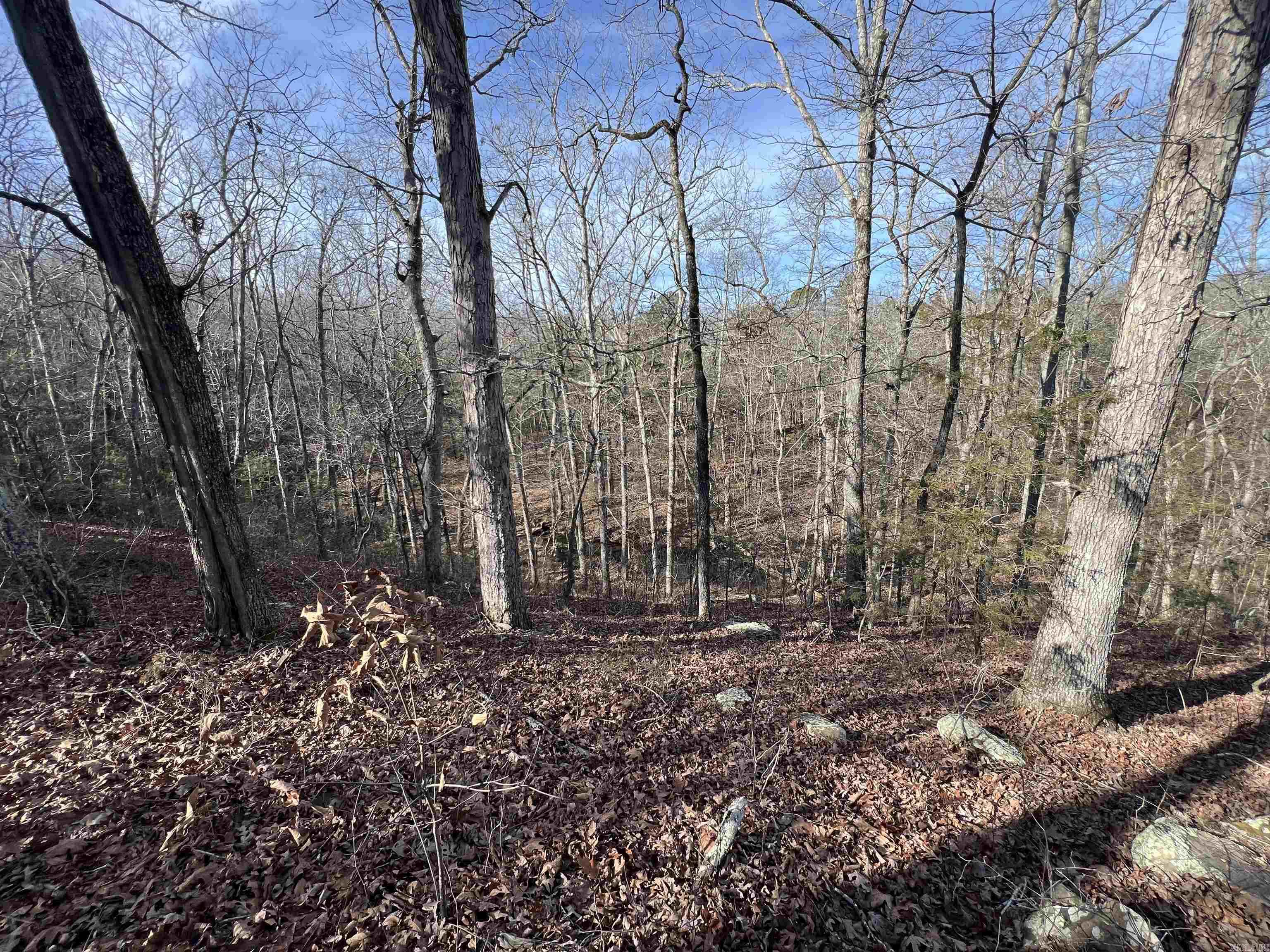 000 Shiloh Rd  McRae, AR