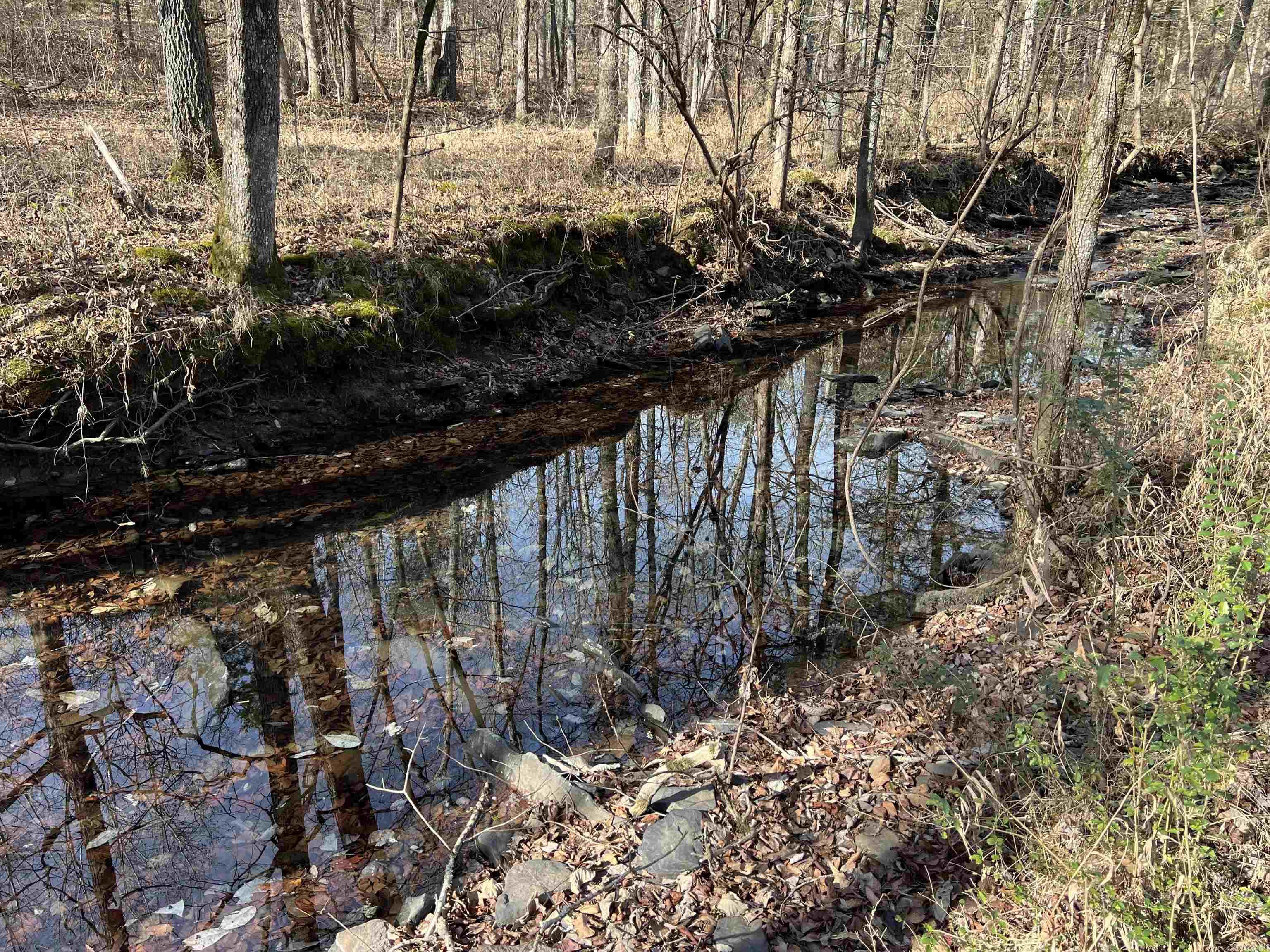 000 Shiloh Rd  McRae, AR