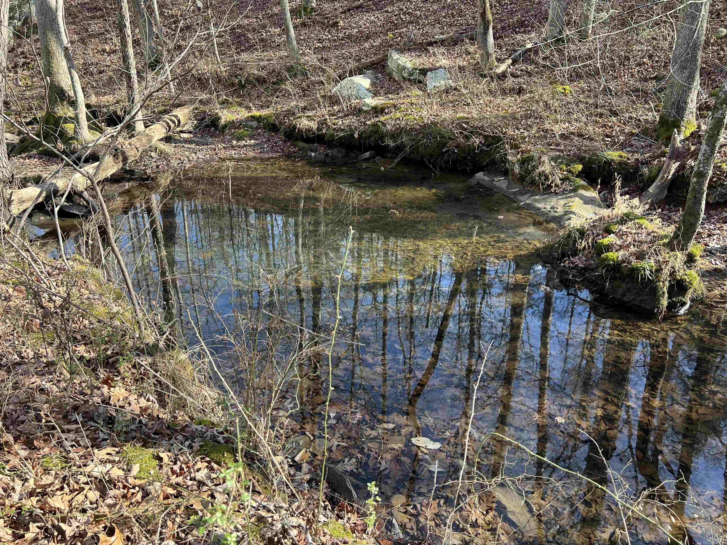 000 Shiloh Rd  McRae, AR