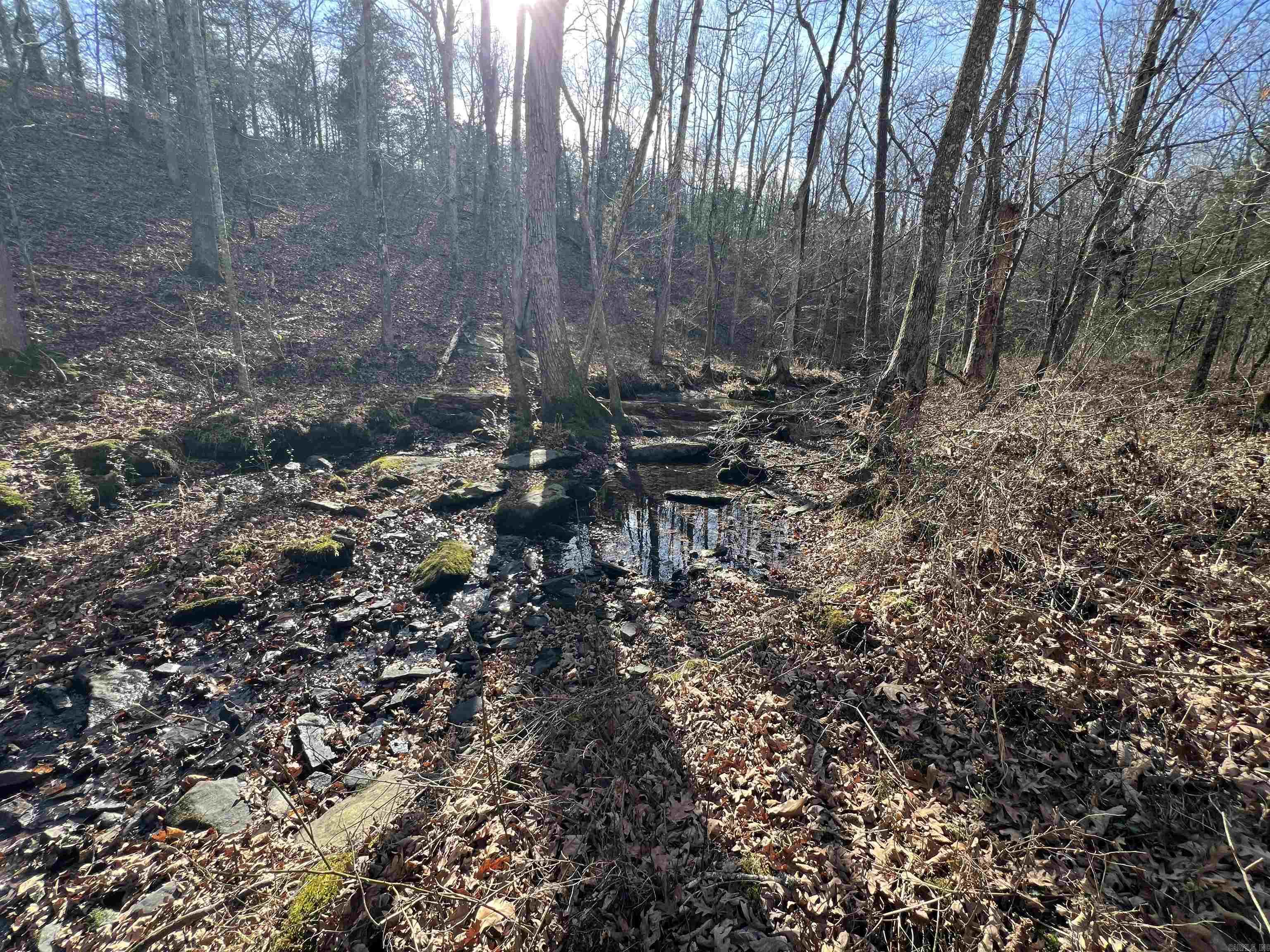 000 Shiloh Rd  McRae, AR