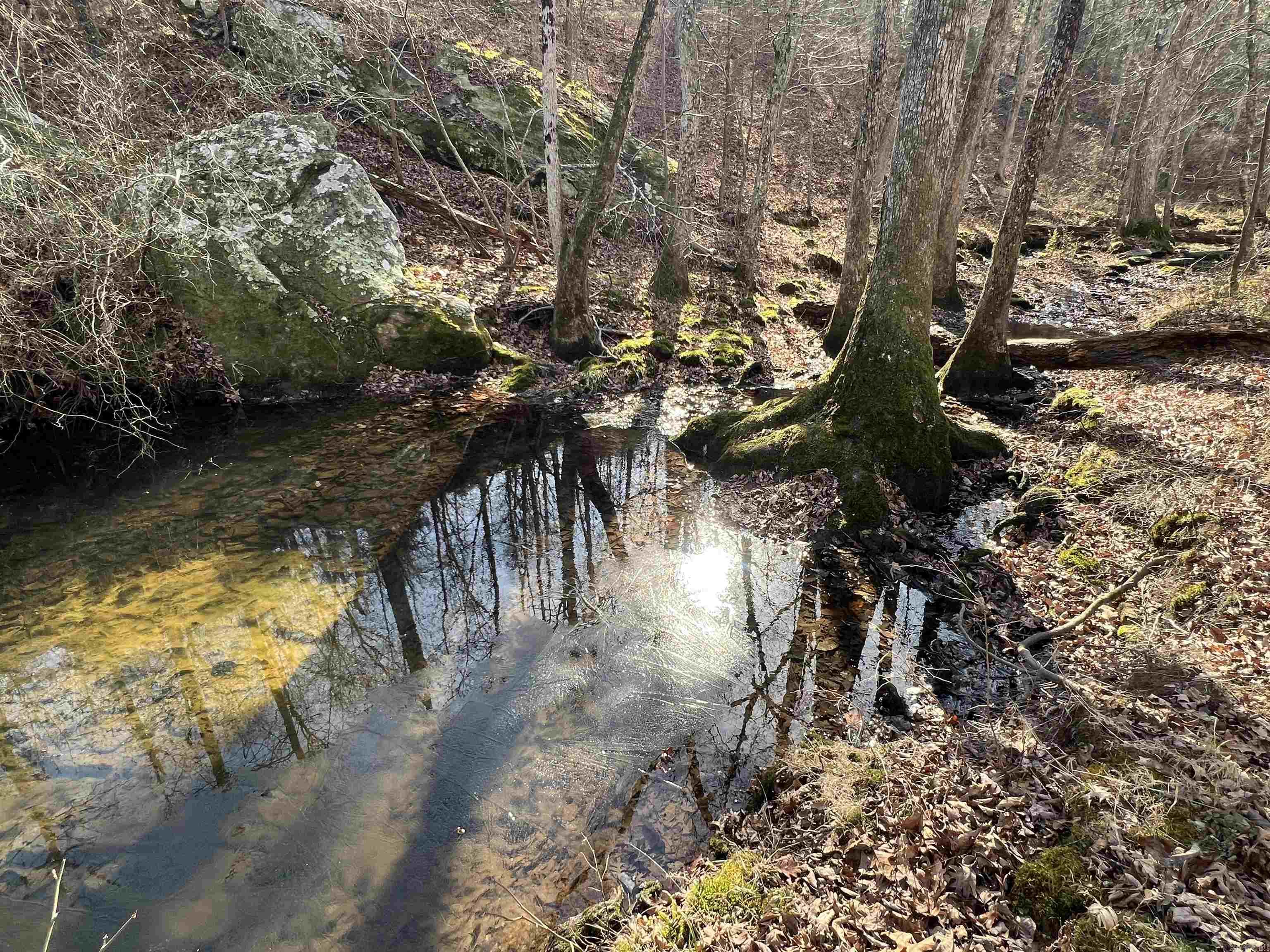 000 Shiloh Rd  McRae, AR