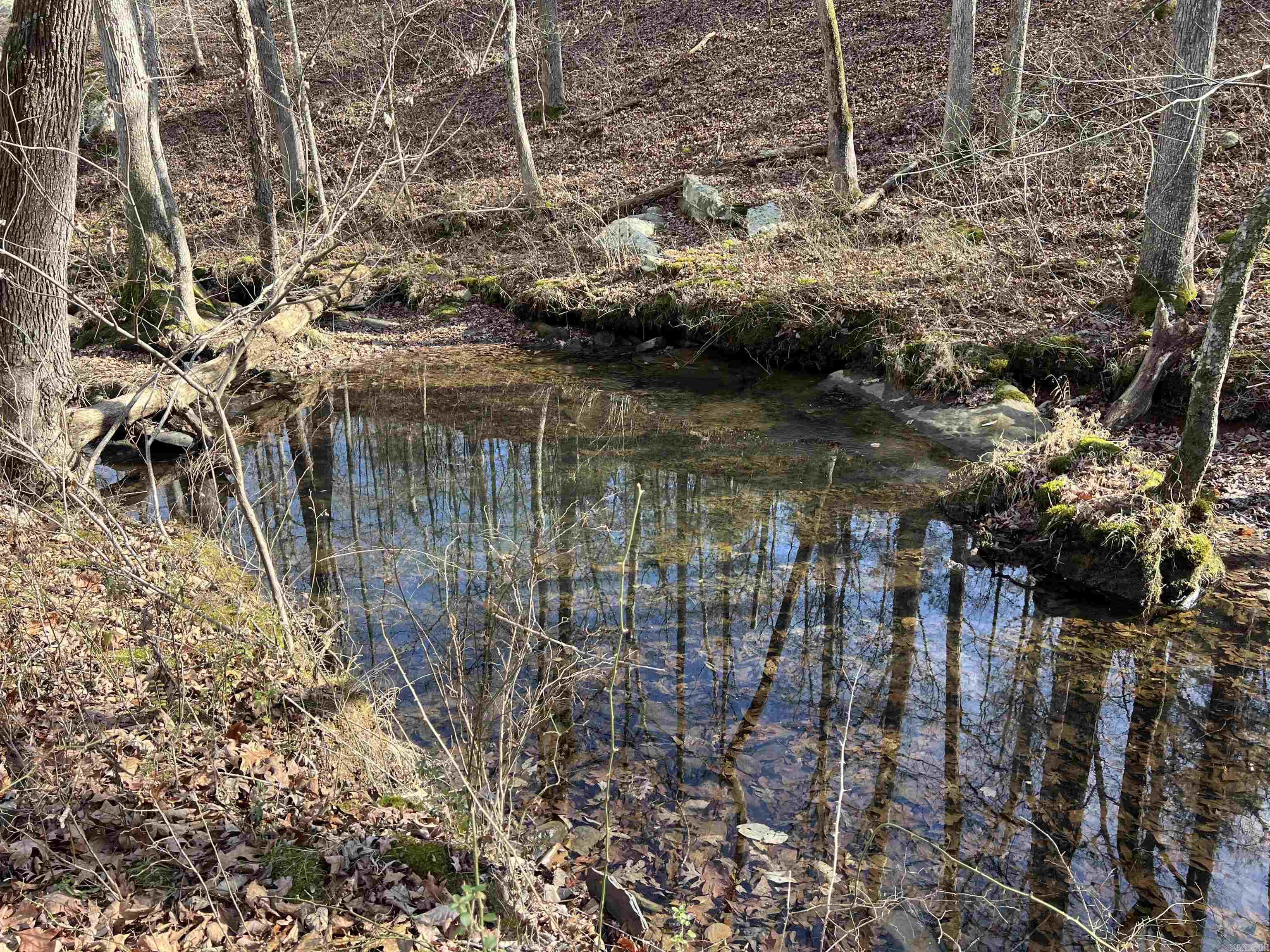 000 Shiloh Rd  McRae, AR