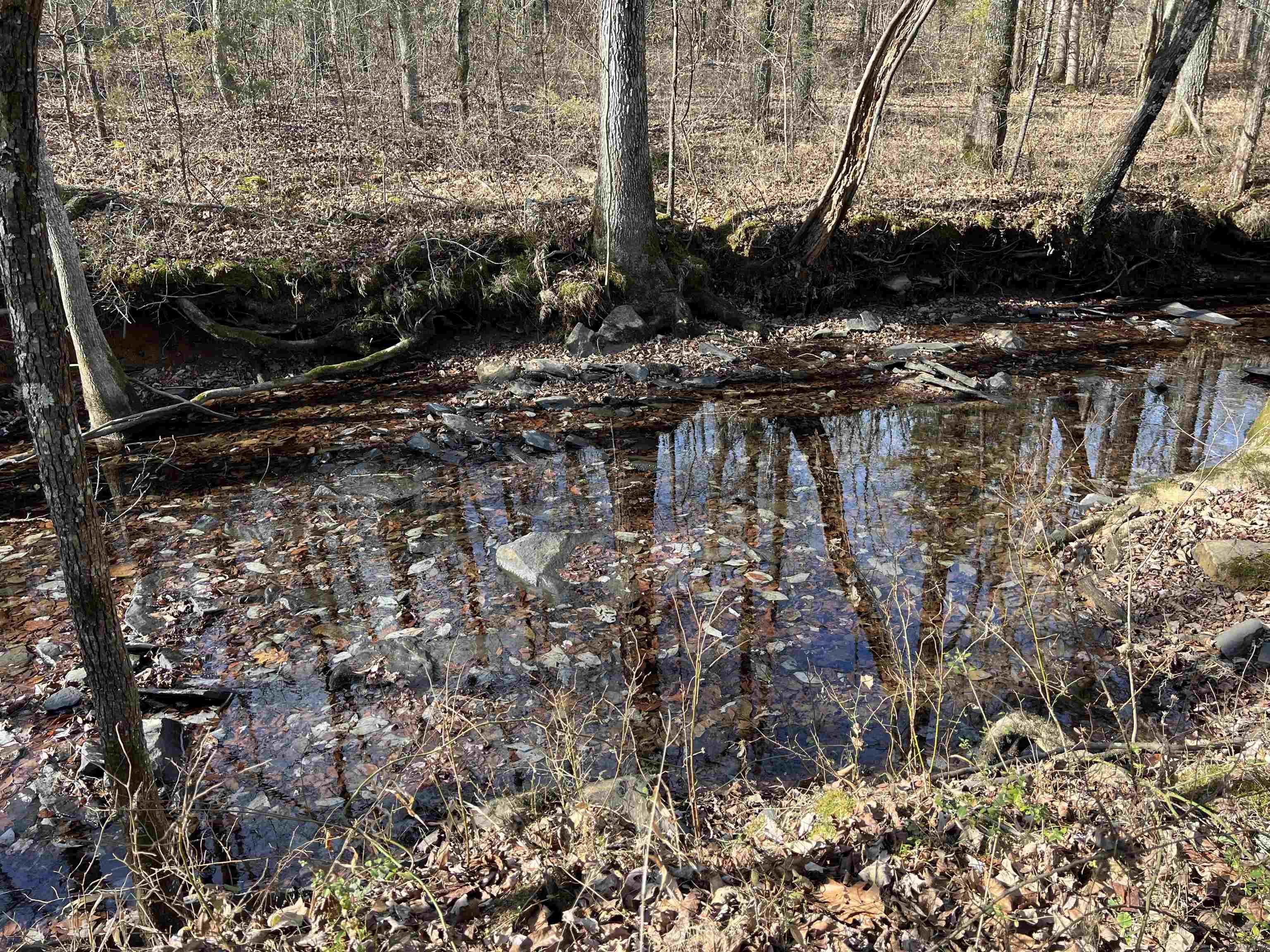 000 Shiloh Rd  McRae, AR