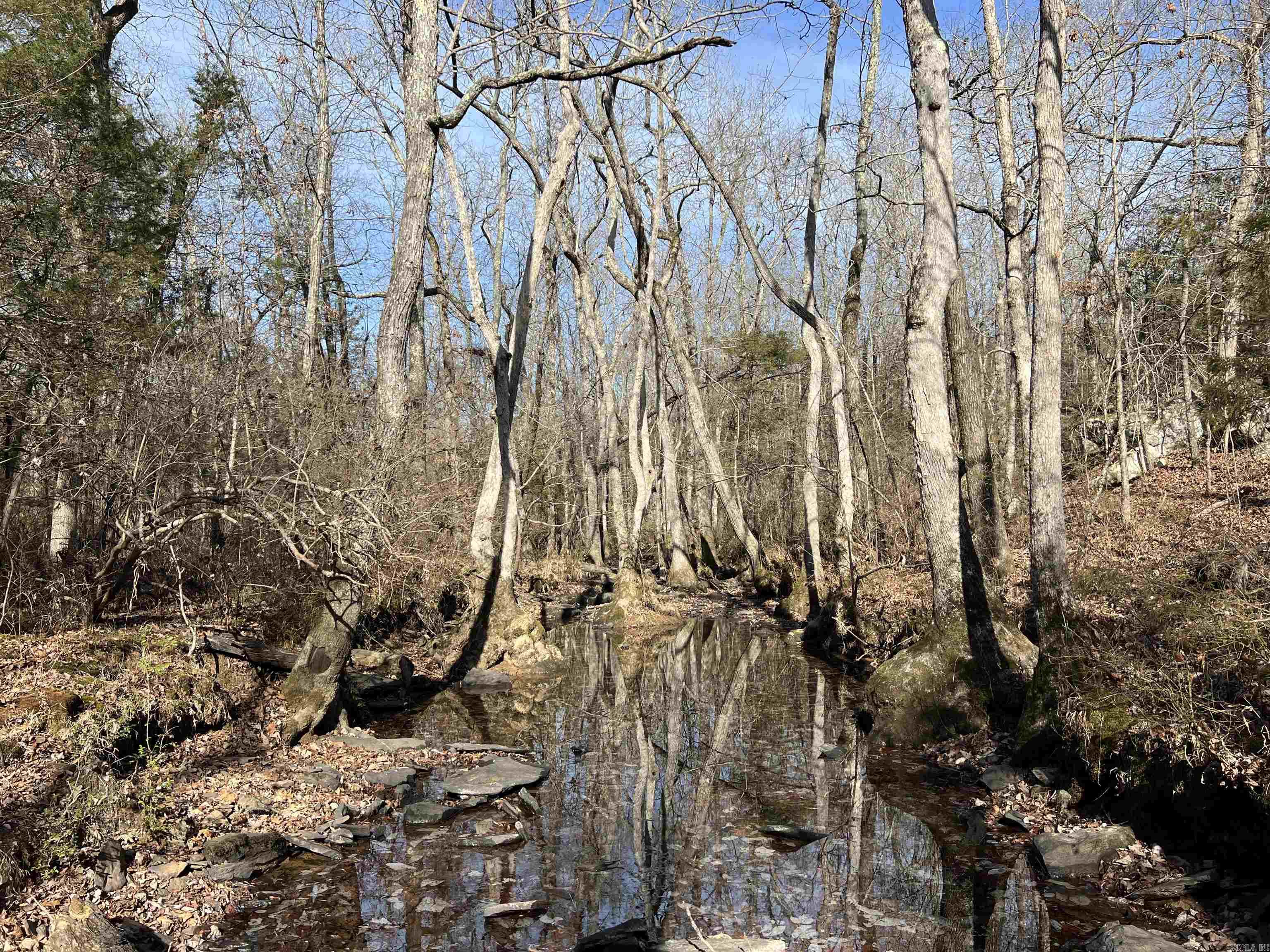 000 Shiloh Rd  McRae, AR