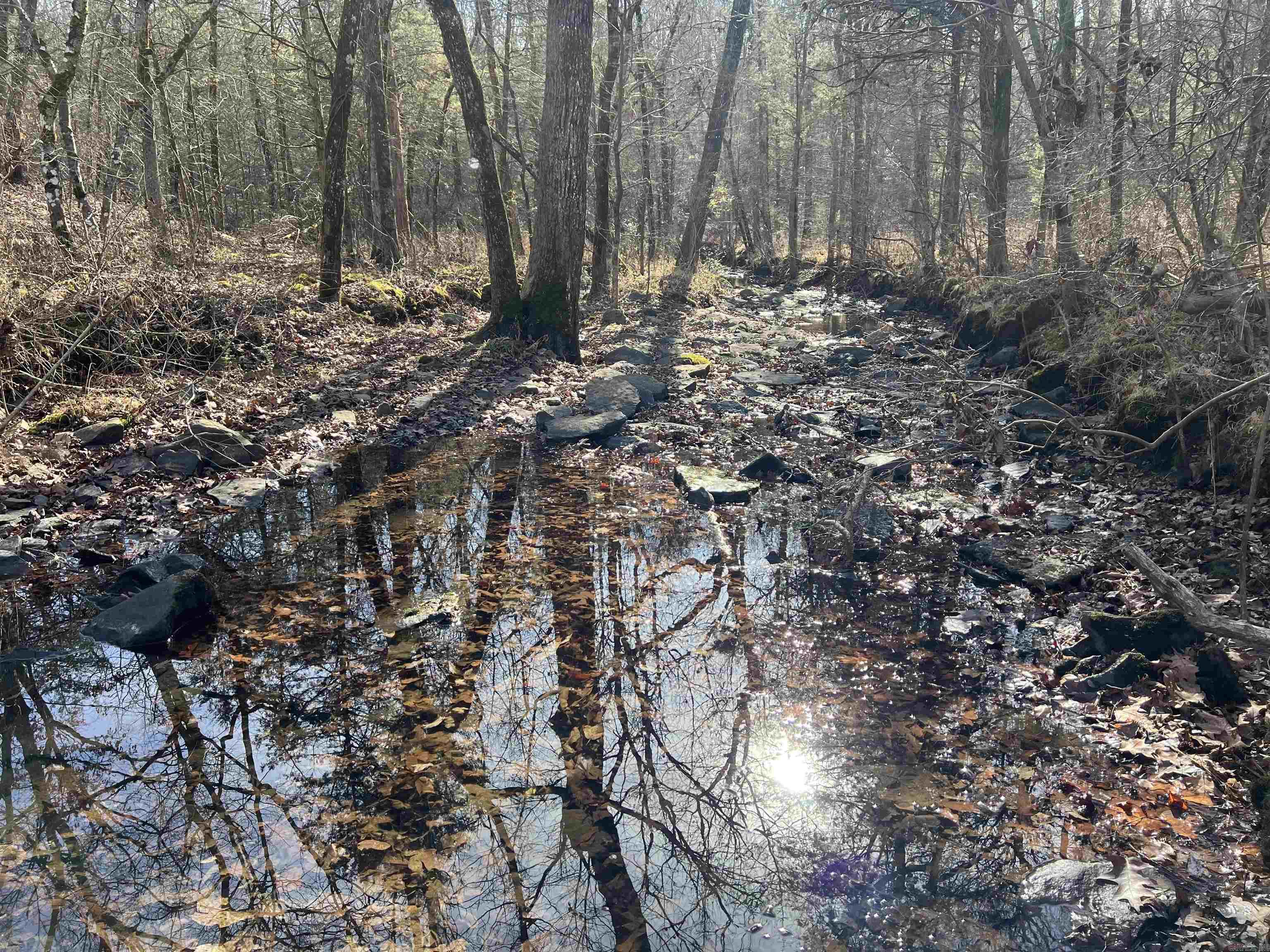 000 Shiloh Rd  McRae, AR