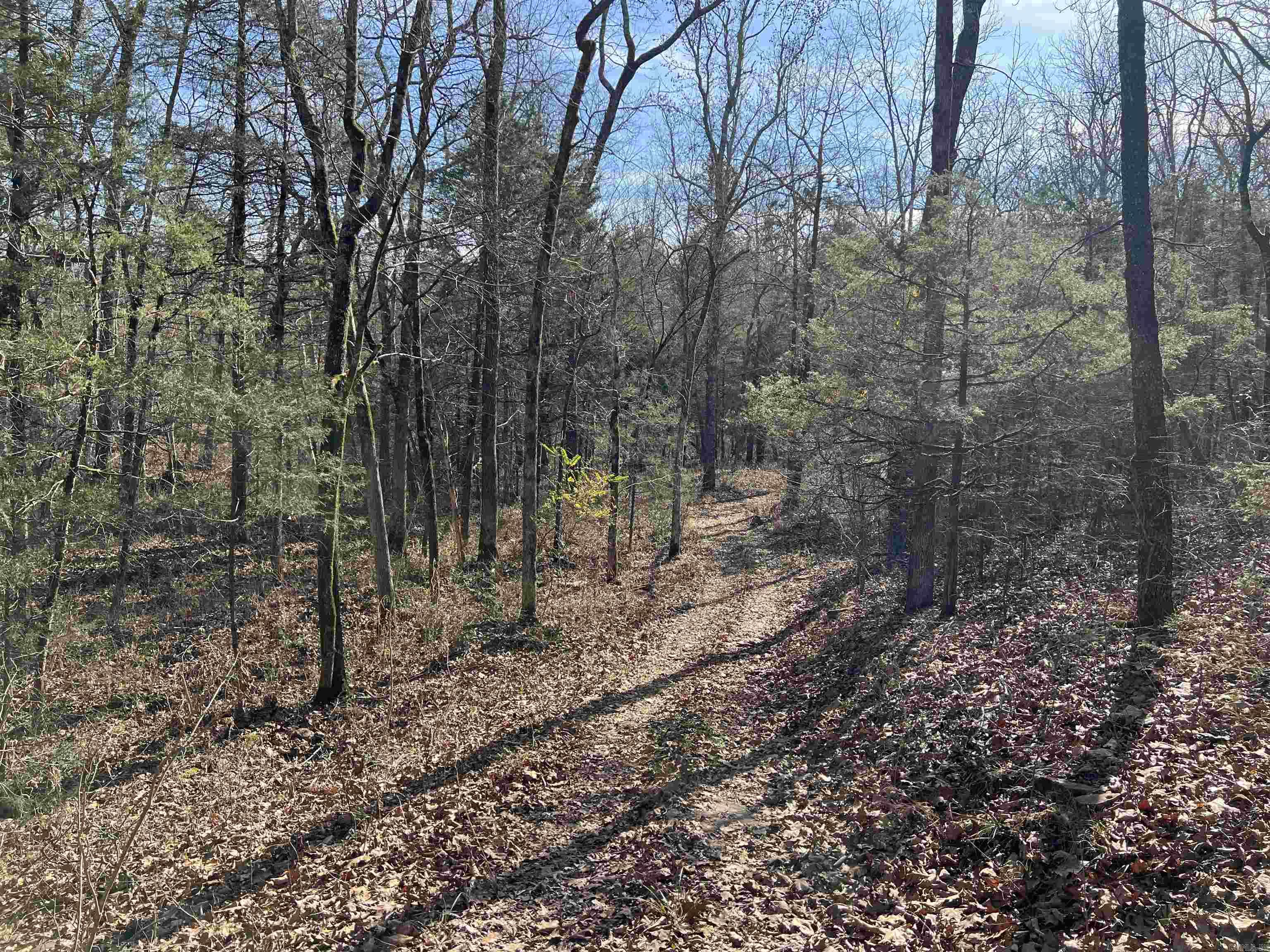 000 Shiloh Rd  McRae, AR