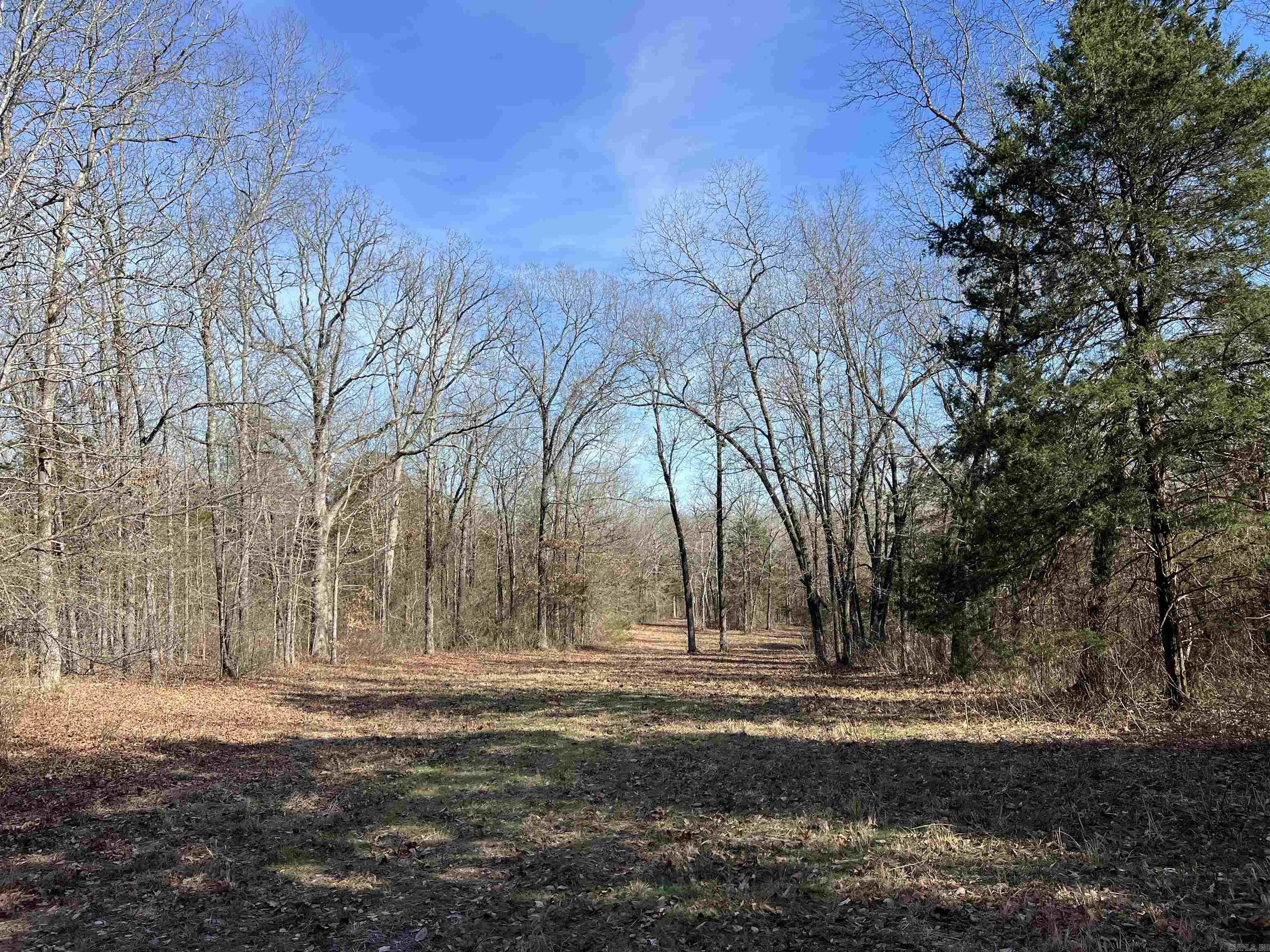 000 Shiloh Rd  McRae, AR