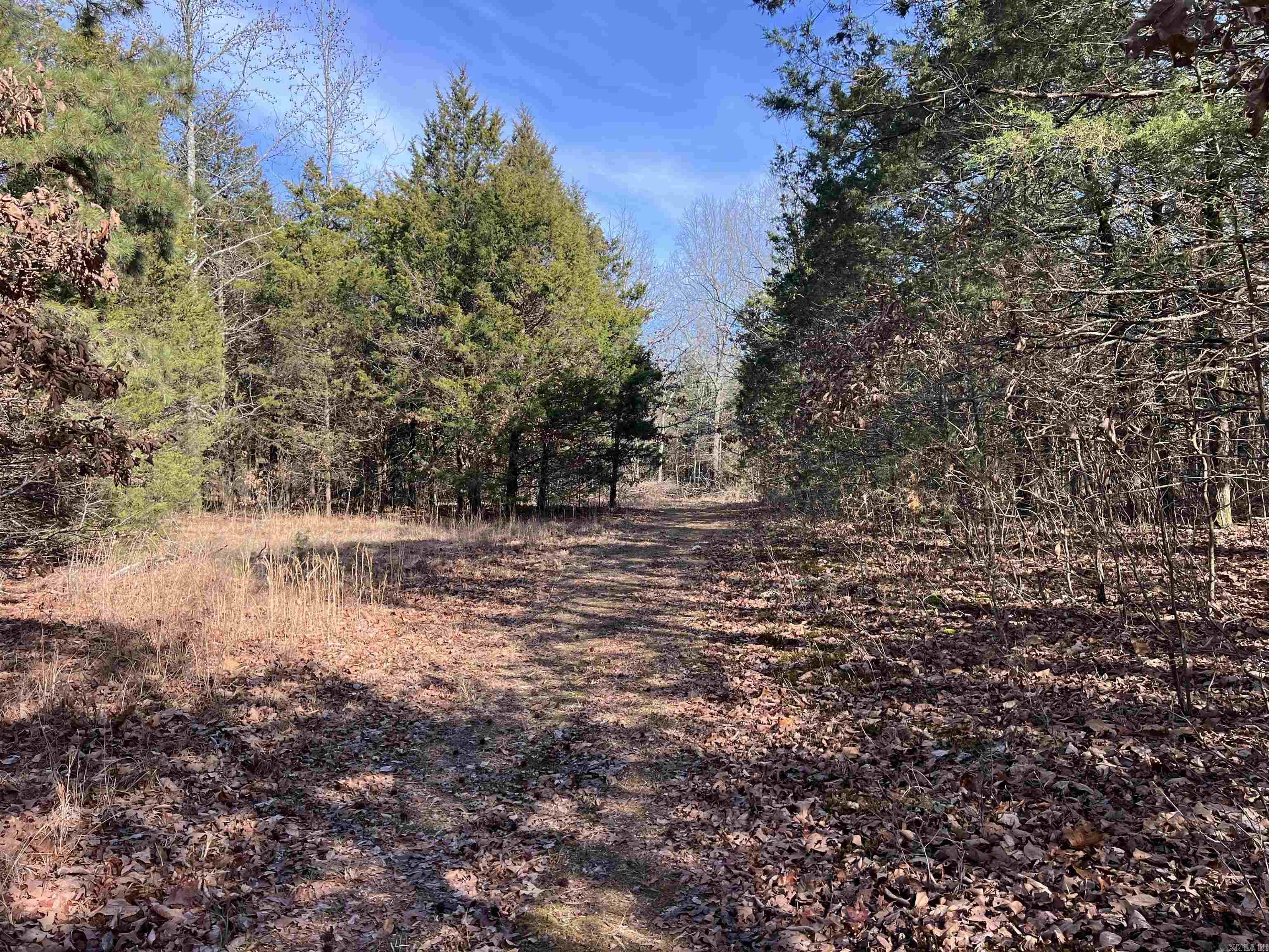 000 Shiloh Rd  McRae, AR