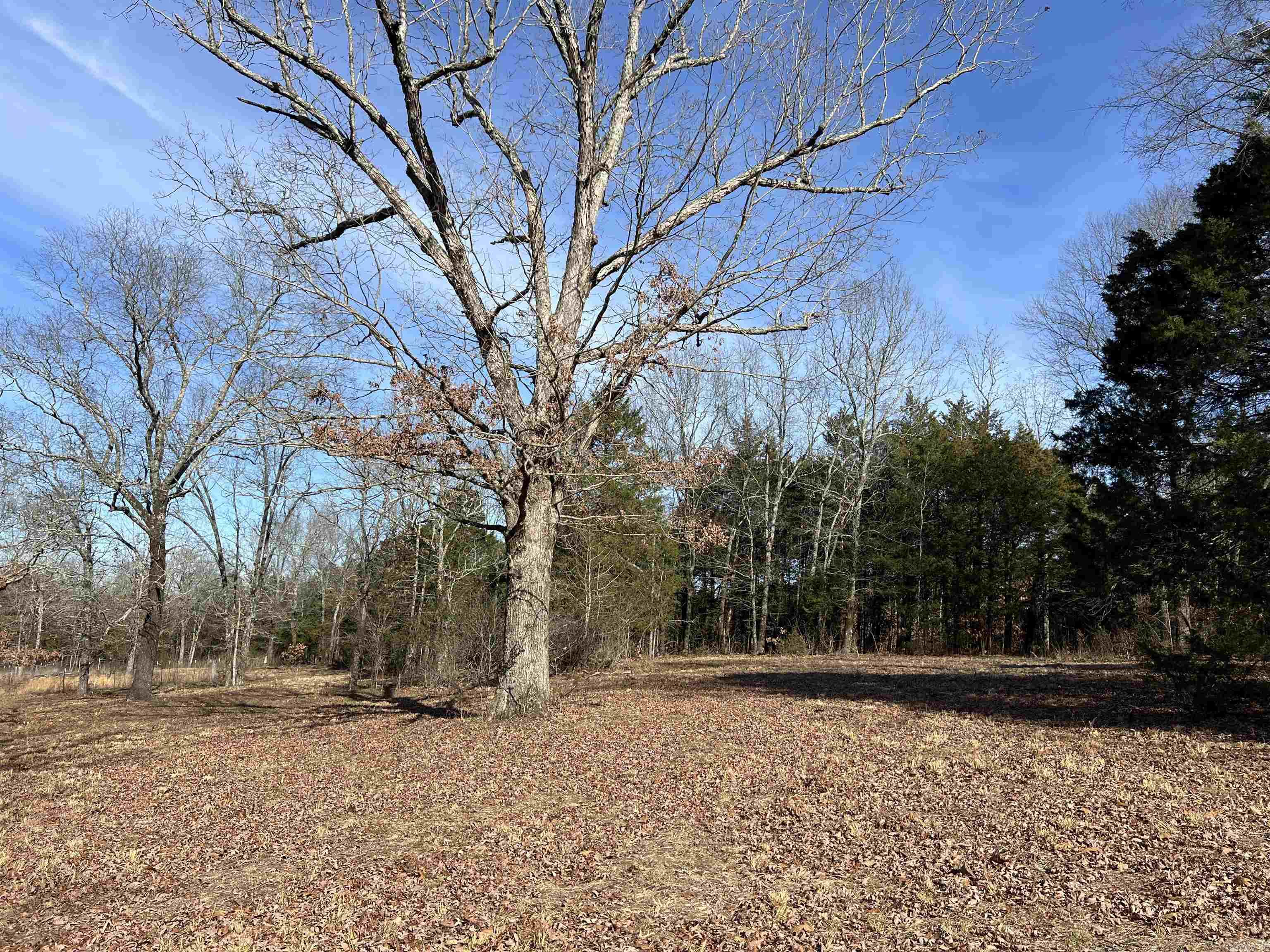 000 Shiloh Rd  McRae, AR