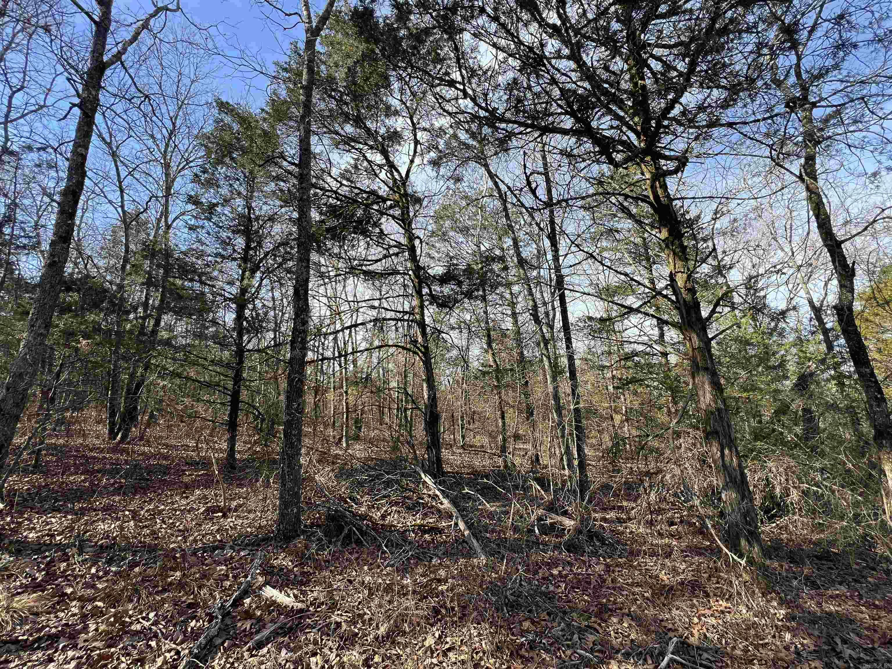 000 Shiloh Rd  McRae, AR