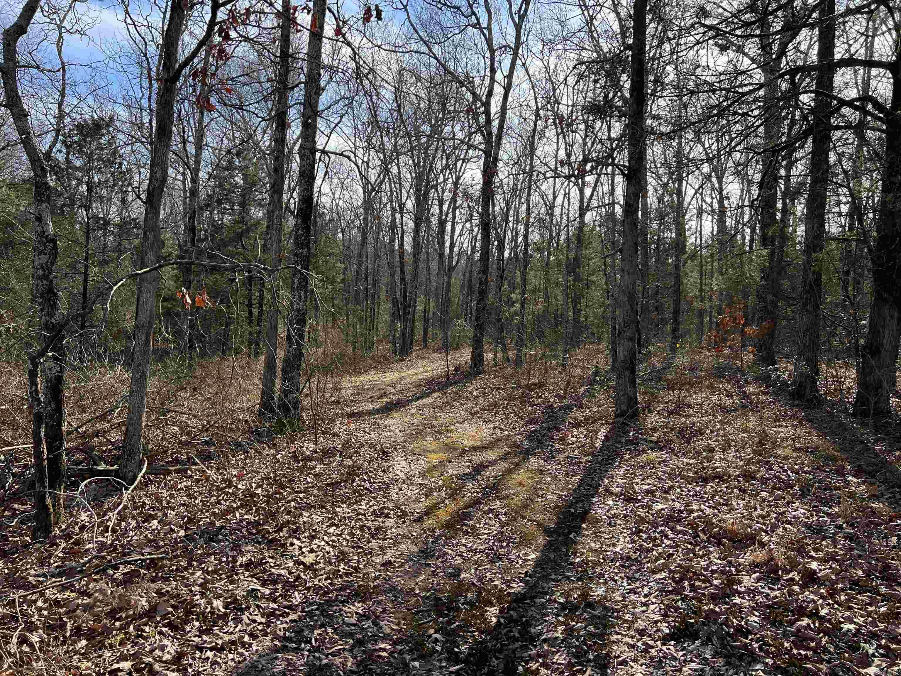 000 Shiloh Rd  McRae, AR