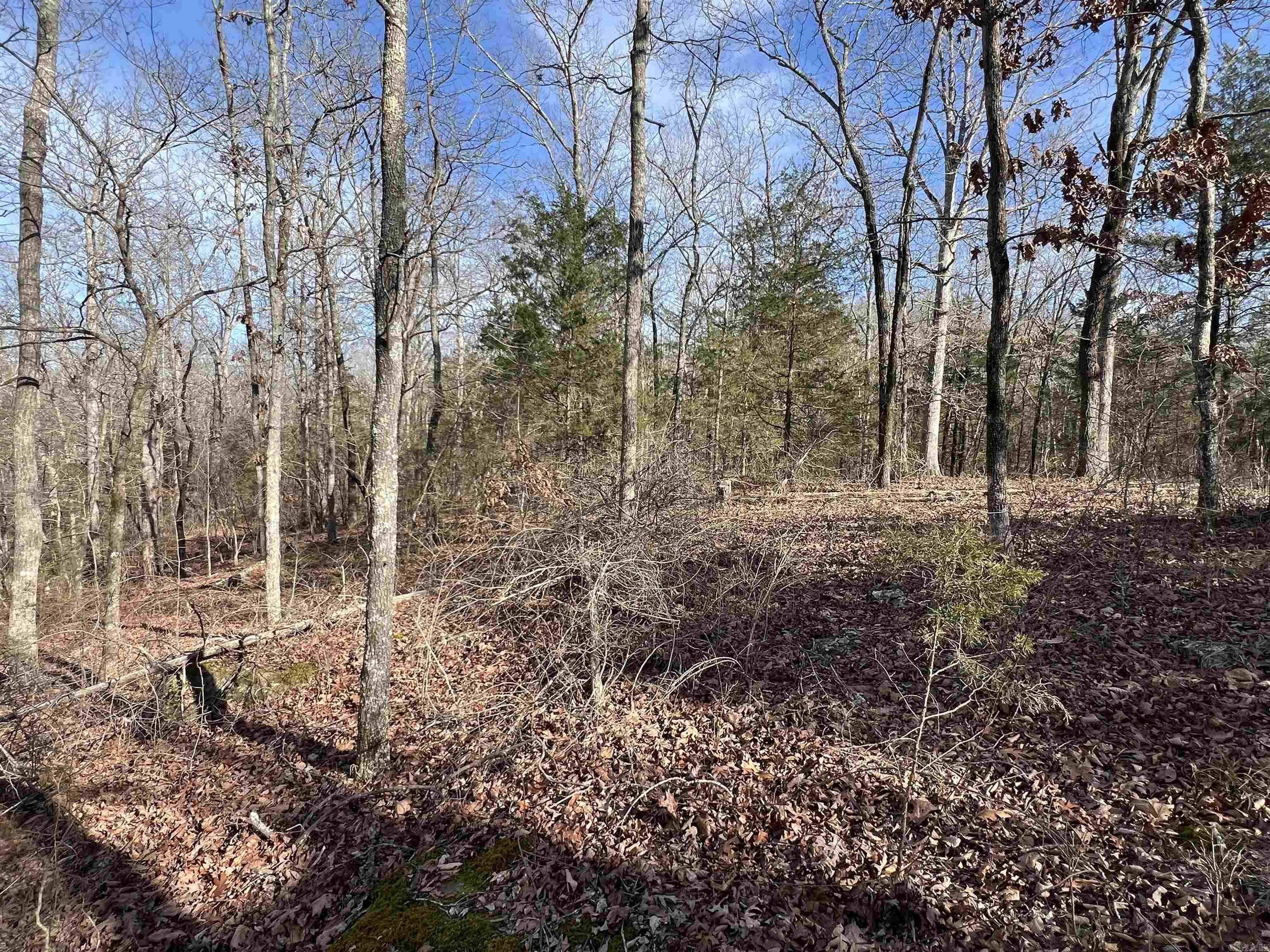 000 Shiloh Rd  McRae, AR