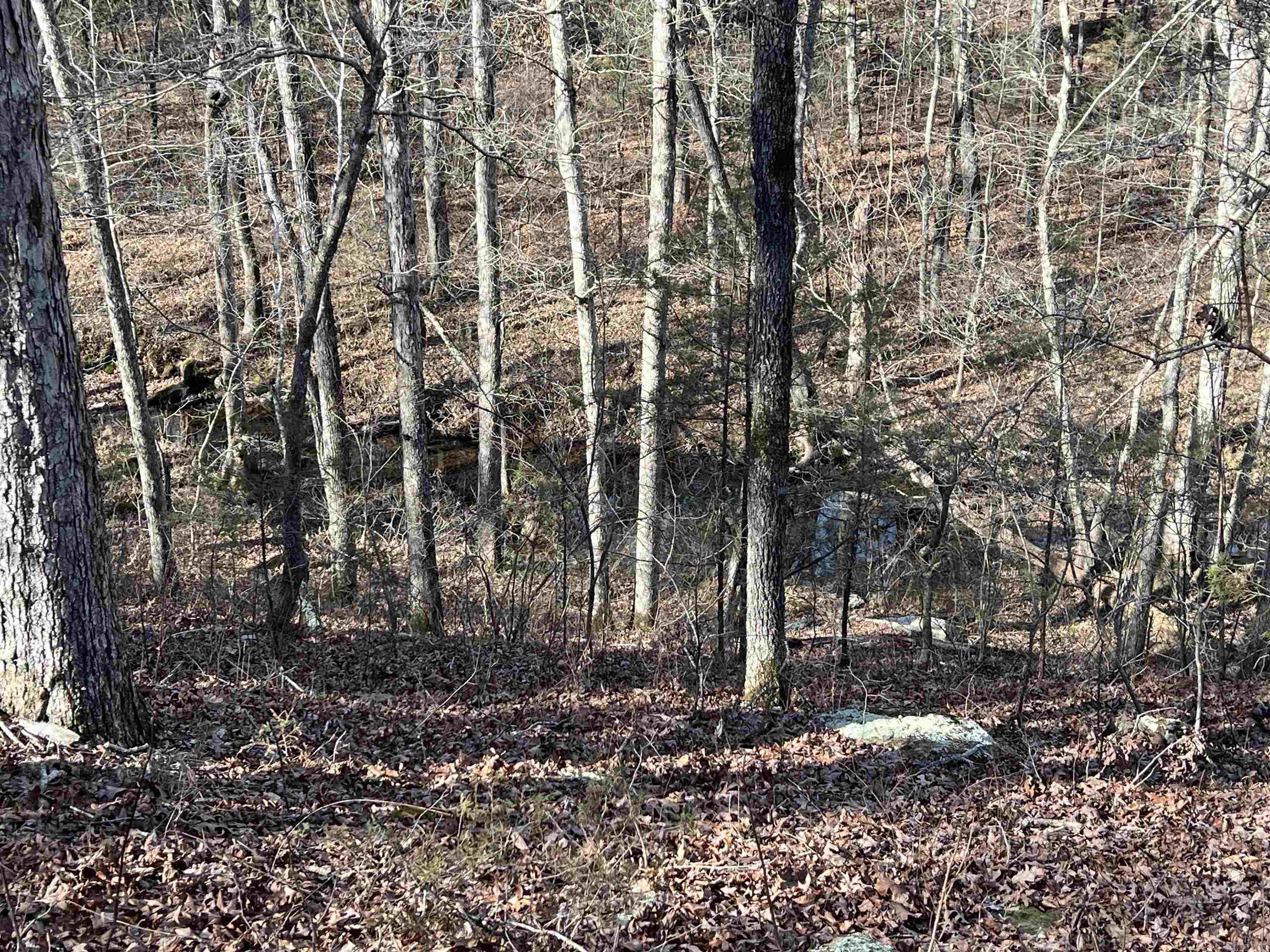 000 Shiloh Rd  McRae, AR