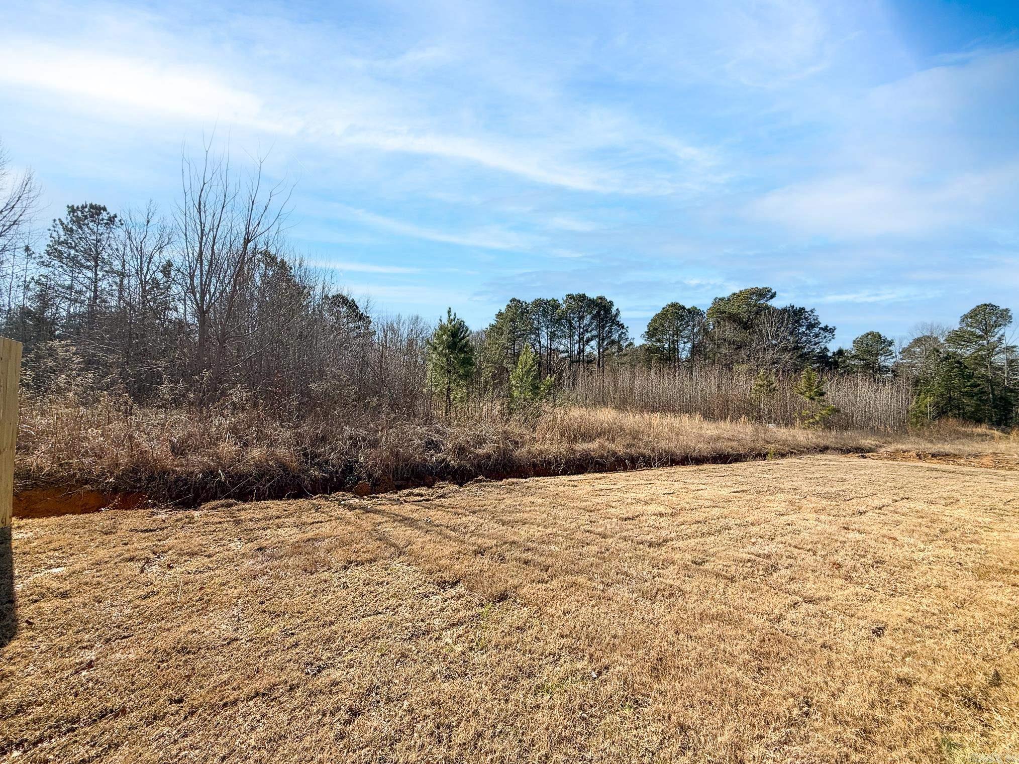 22 Wolfsbridge Loop Cabot, AR 72023