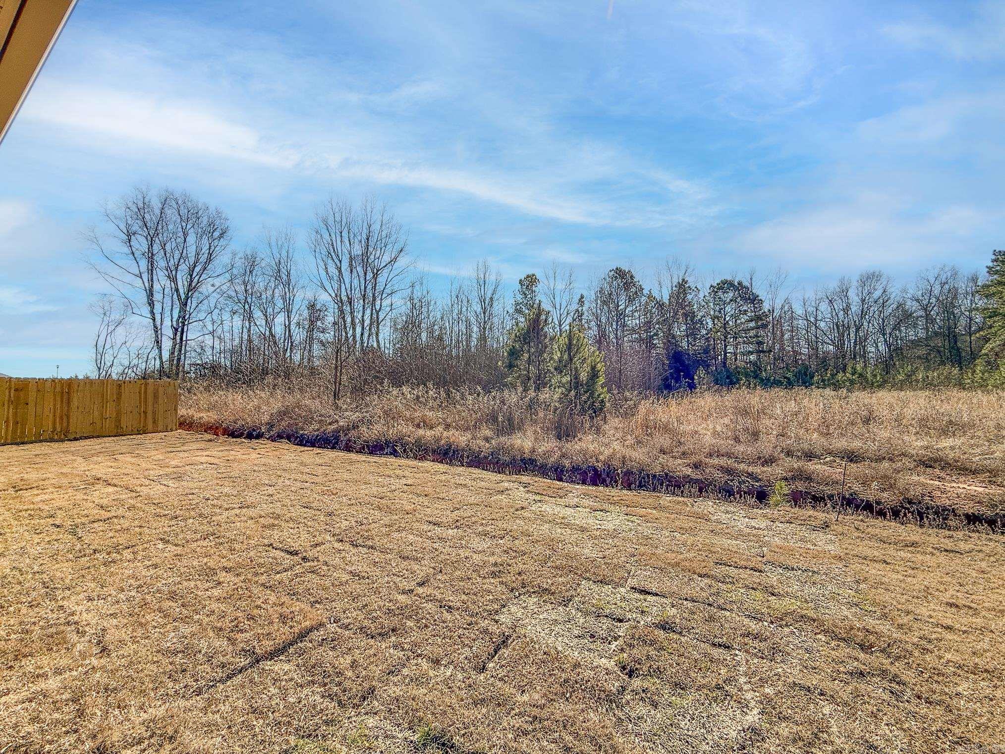 18 Wolfsbridge Loop Cabot, AR 72023