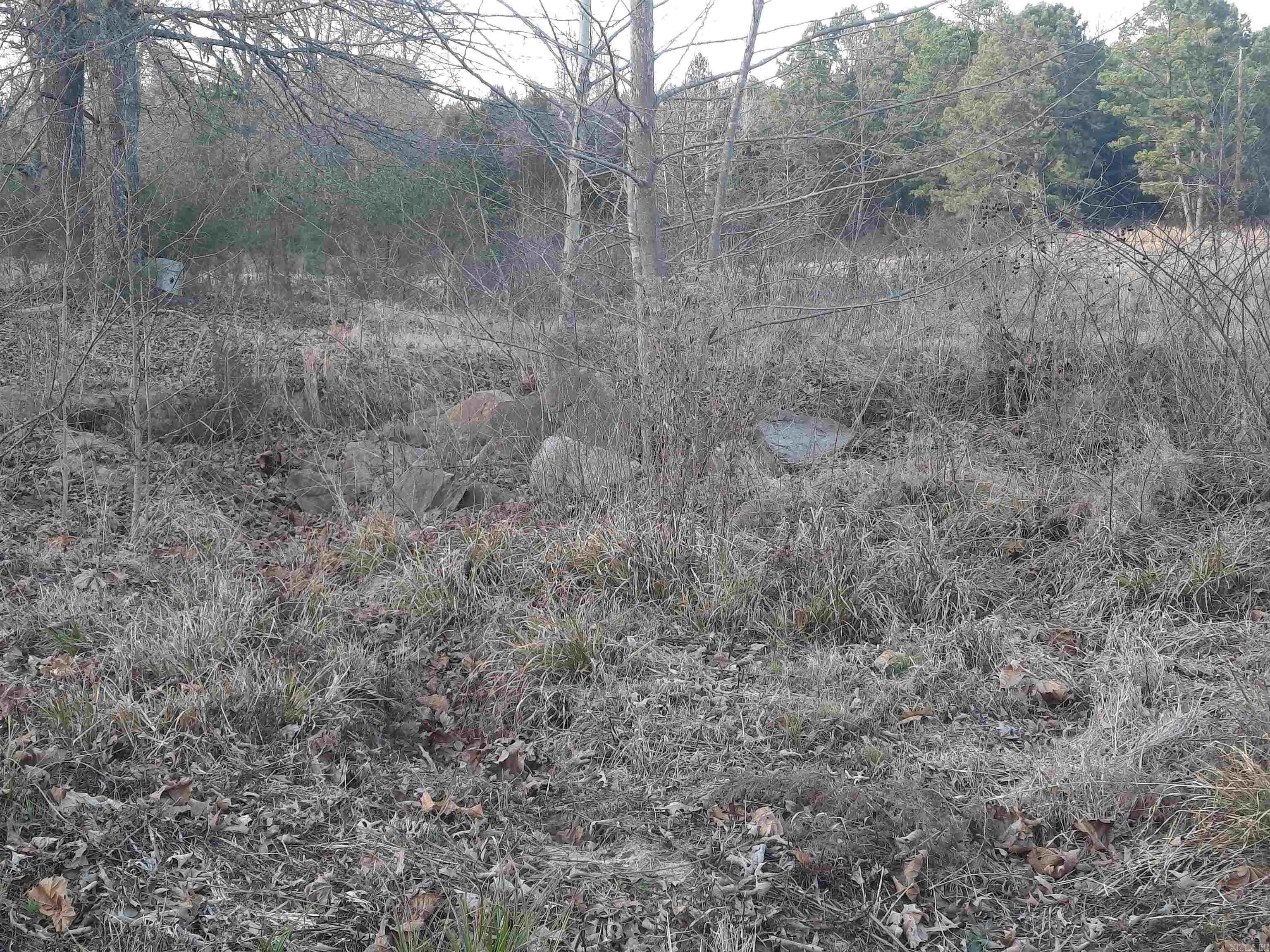 544 Rocky Road Mountain View, AR 72560