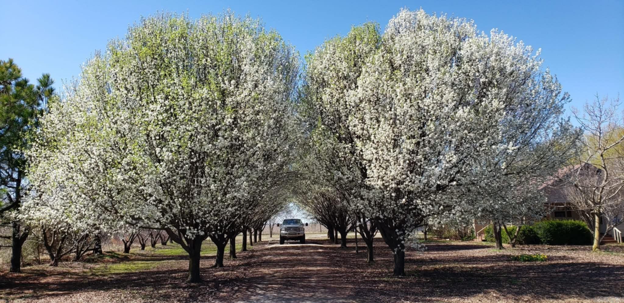 930 Amber Ln Manila, AR 72442