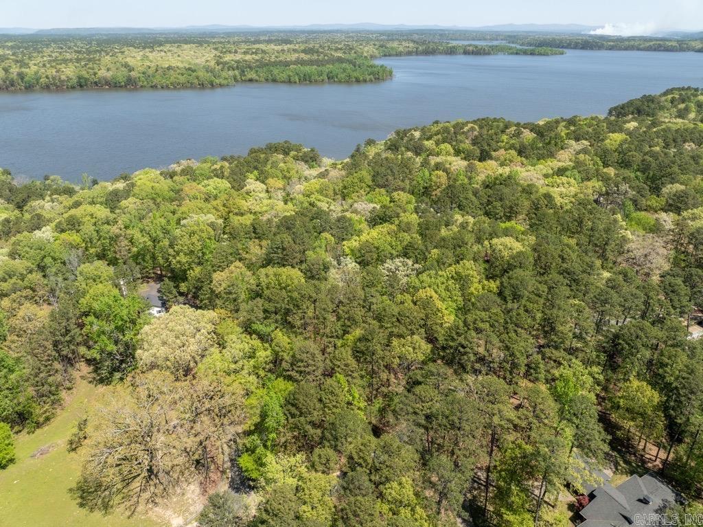 138 Silver Point  Mount Ida, AR