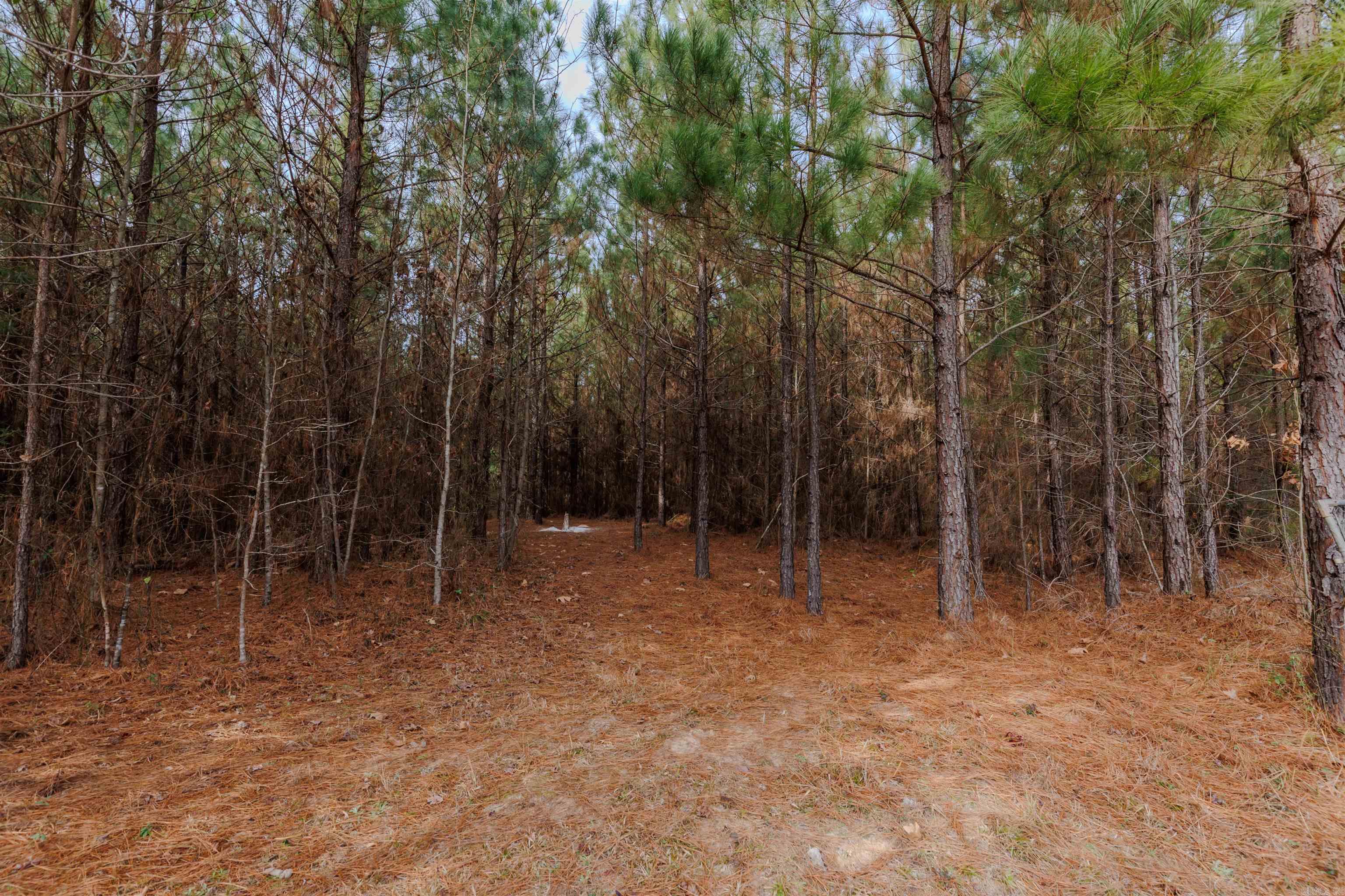 23712 Roland Cutoff  Roland, AR