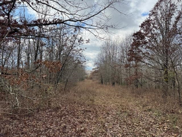 1173 Moten Cemetery Mammoth Spring, AR 72554