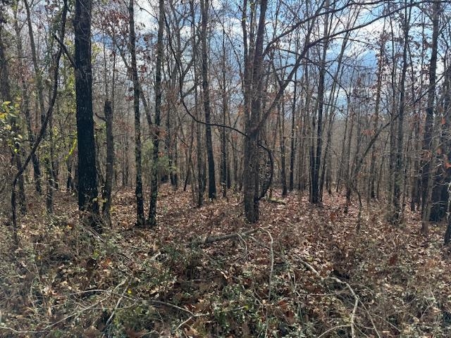 1173 Moten Cemetery Mammoth Spring, AR 72554