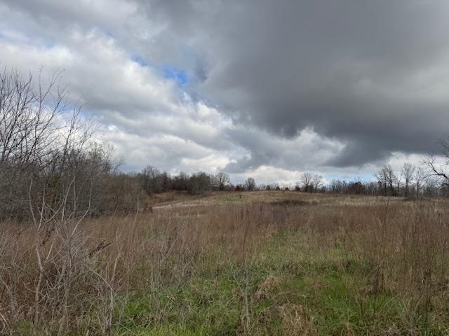 1173 Moten Cemetery Mammoth Spring, AR 72554