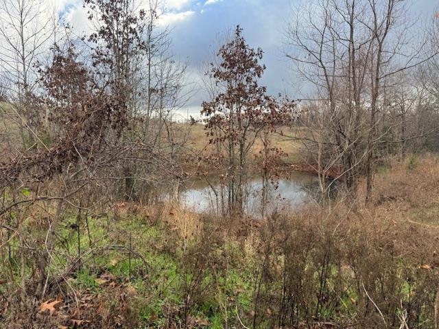 1173 Moten Cemetery Mammoth Spring, AR 72554