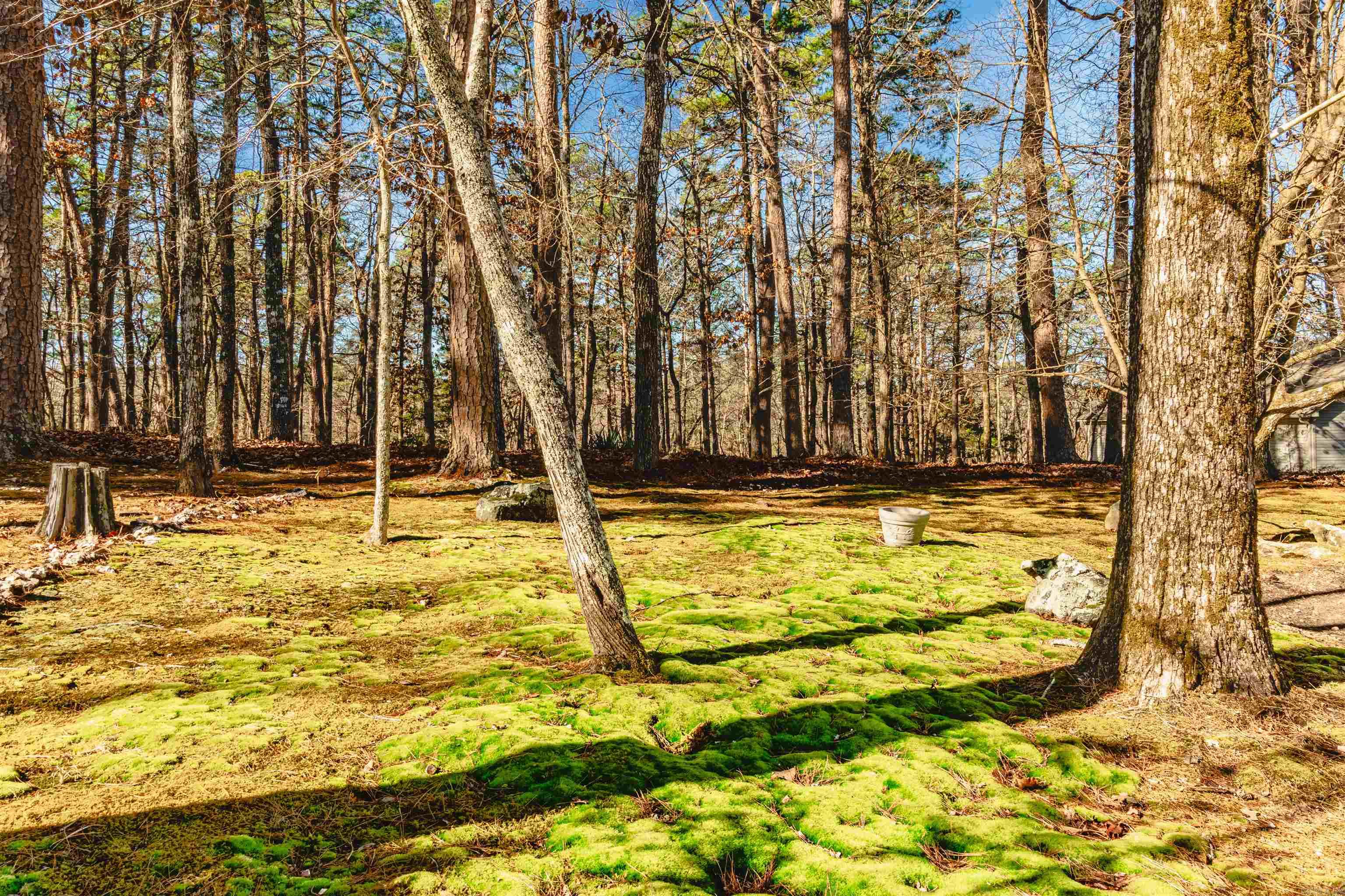 7 Gancho  Hot Springs Village, AR