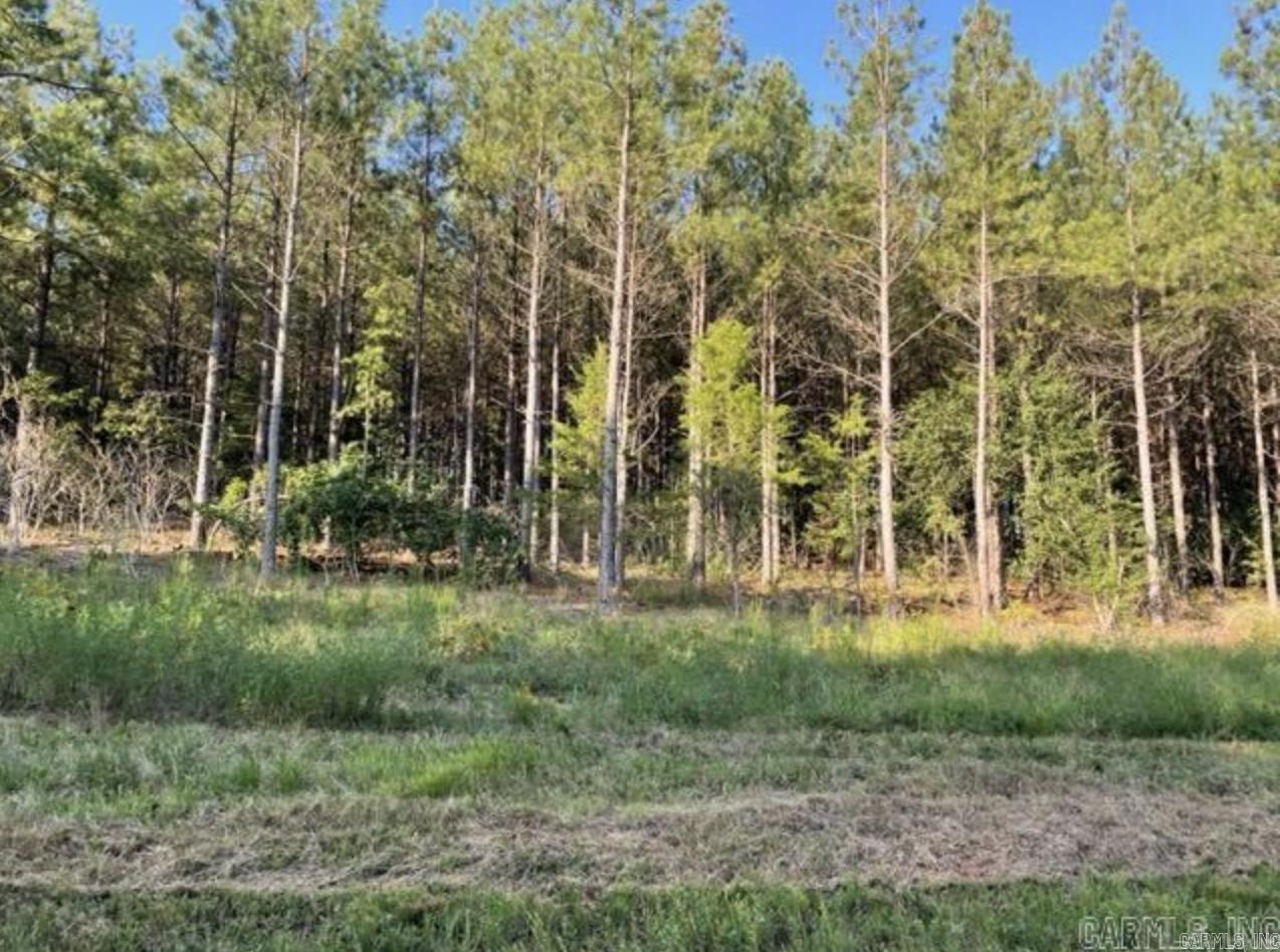  Lot 4 and 5 Military Ridge Sub  Conway, AR