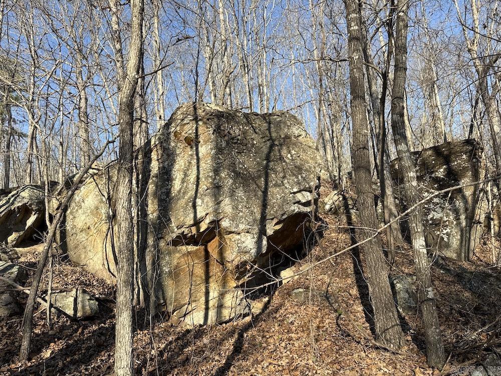  Kennedy Road  Leslie, AR