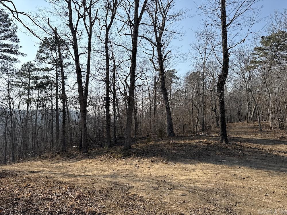  Kennedy Road  Leslie, AR