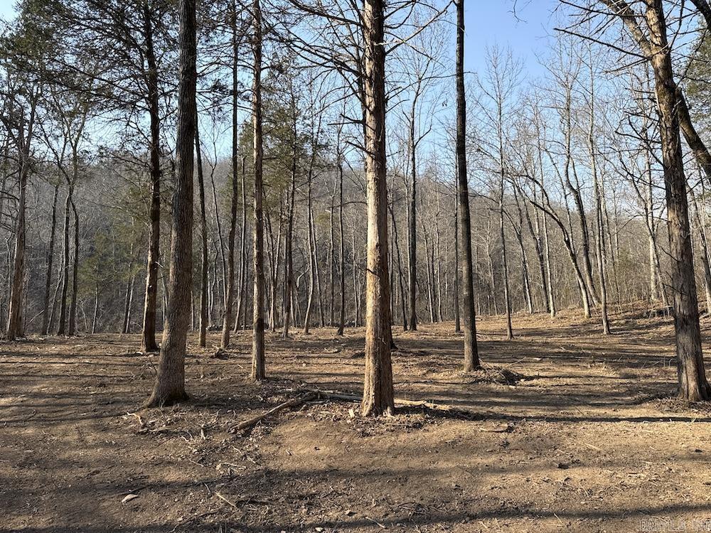  Kennedy Road  Leslie, AR