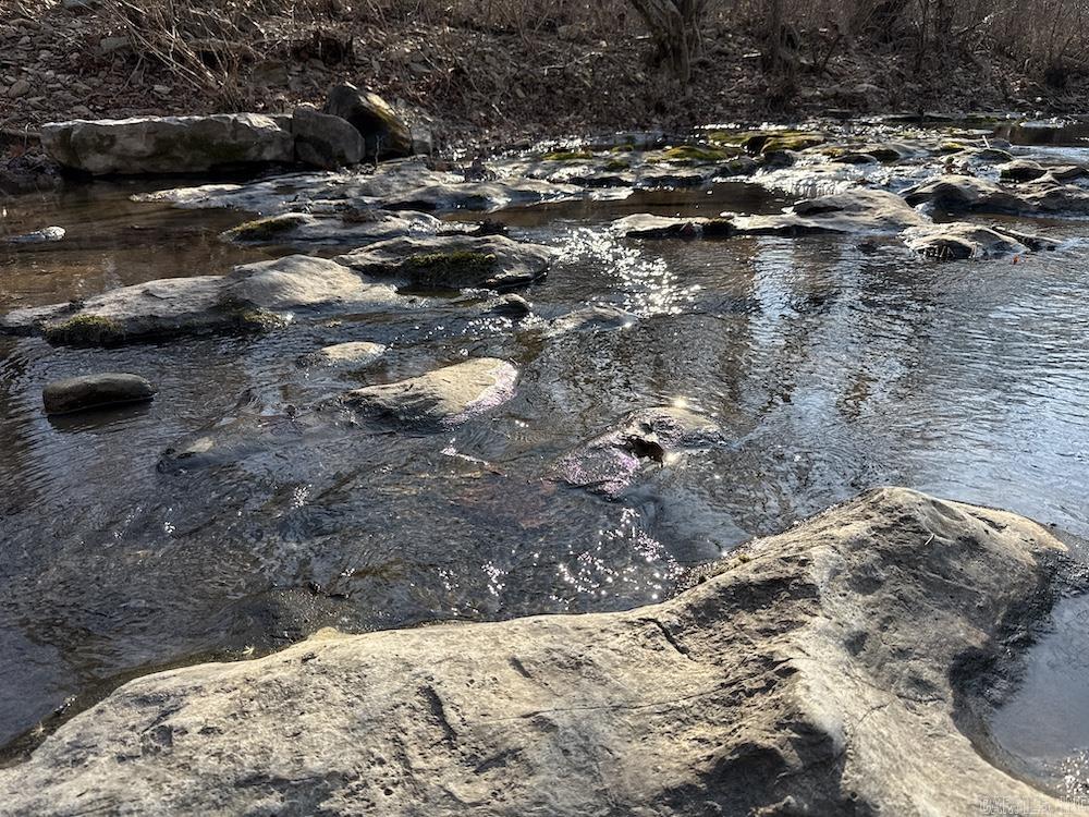  Kennedy Road  Leslie, AR