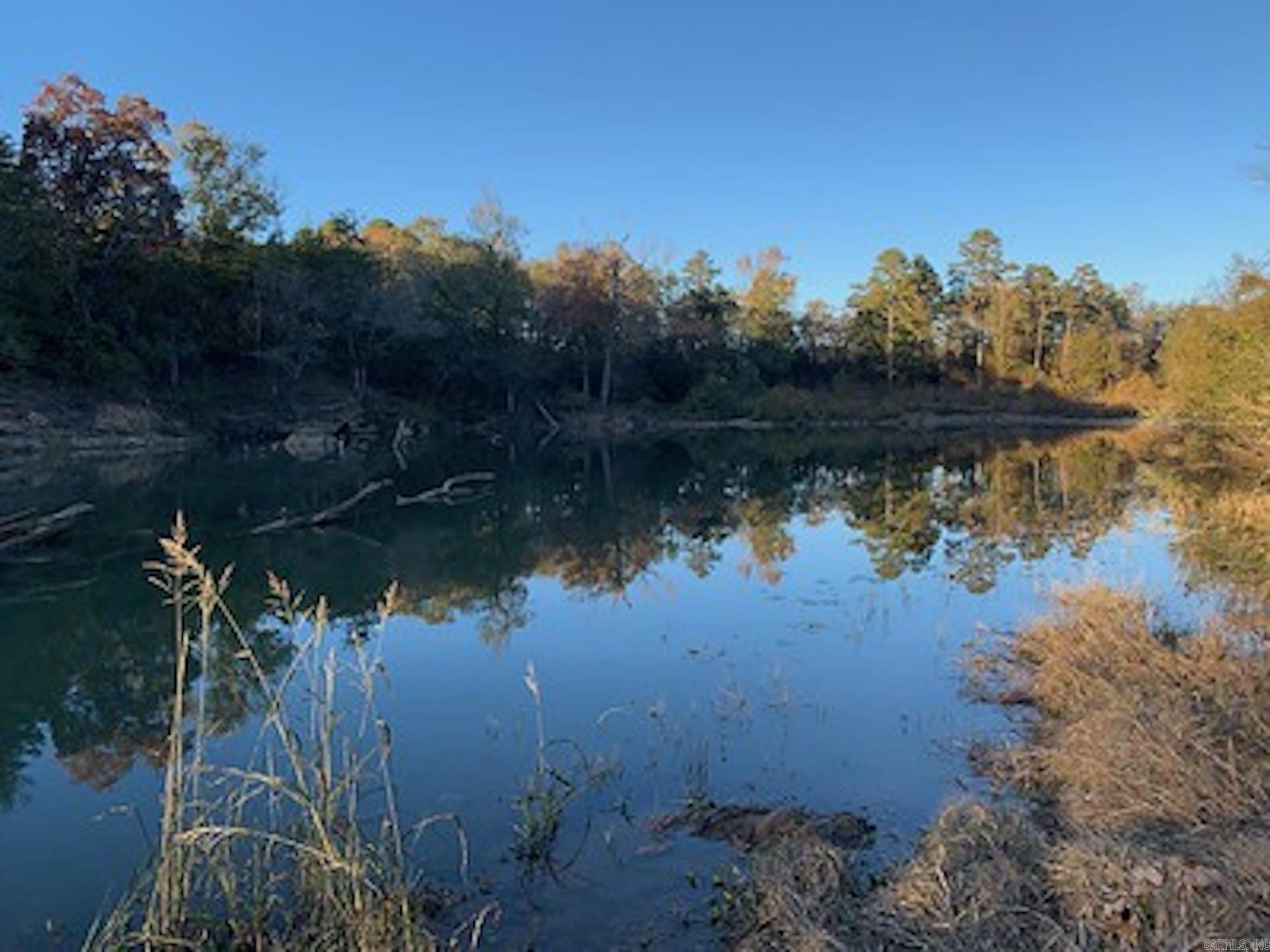 40 Shepards Glen  Oden, AR